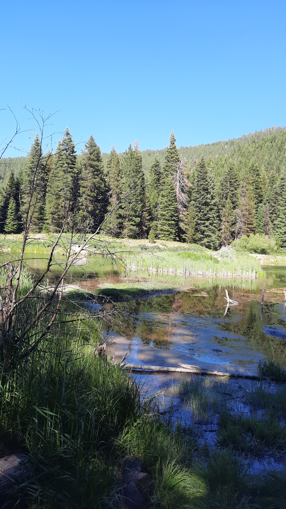 Trout Farm Campground