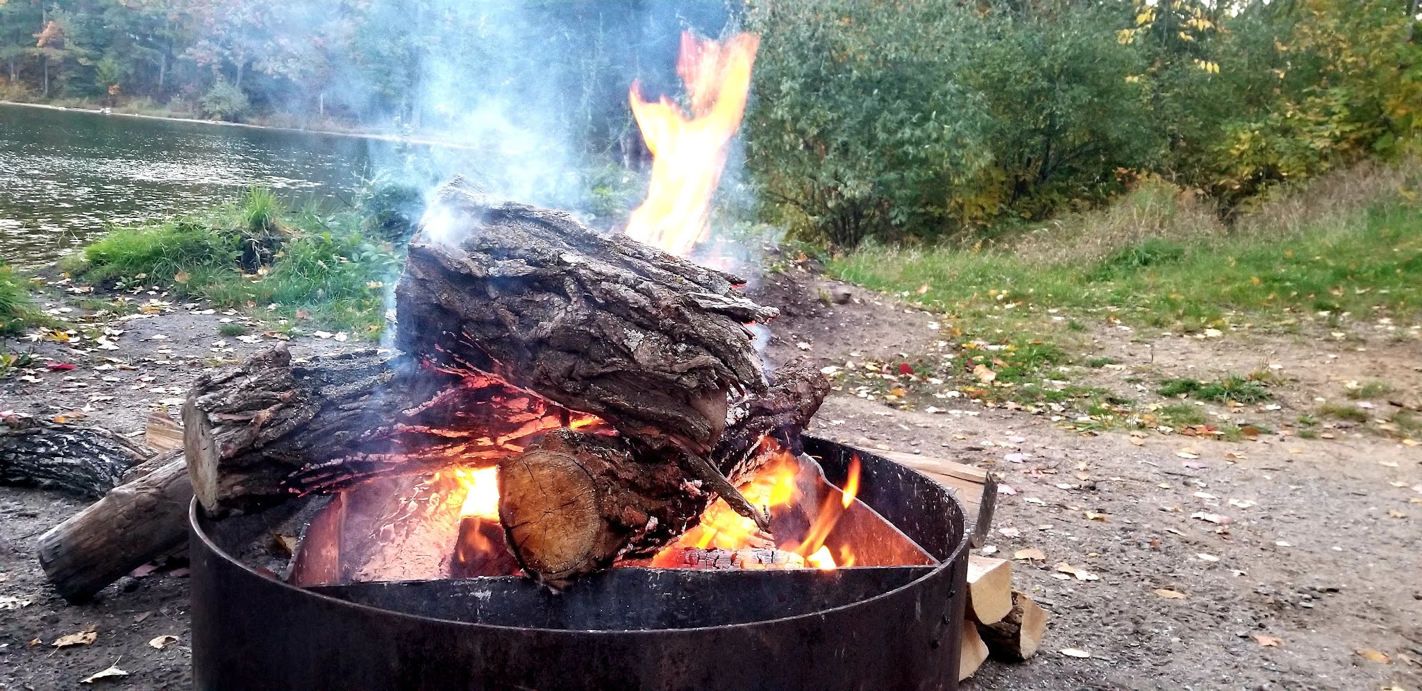 Trout Lake State Forest Campground