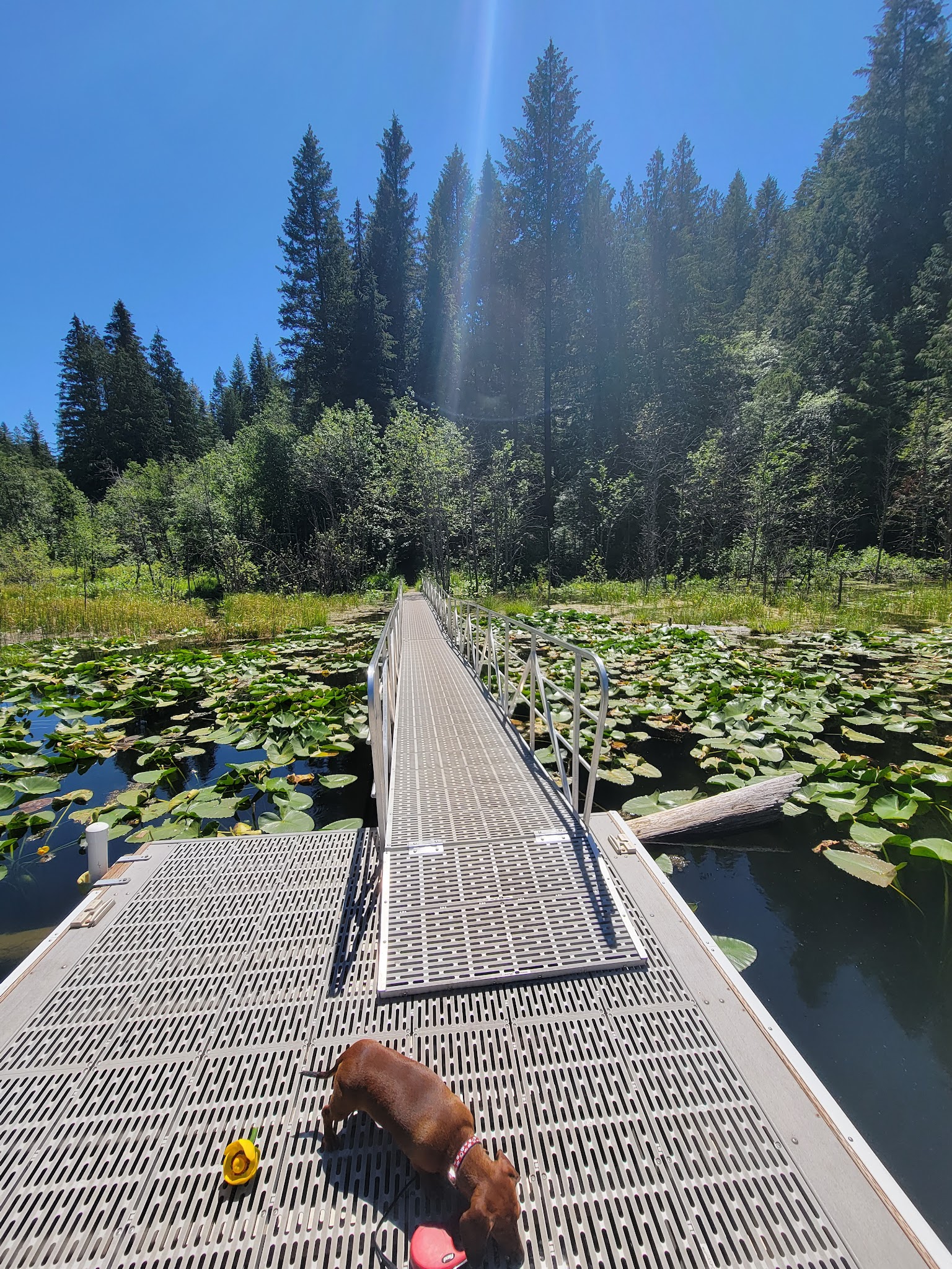 Trout Lake Campground