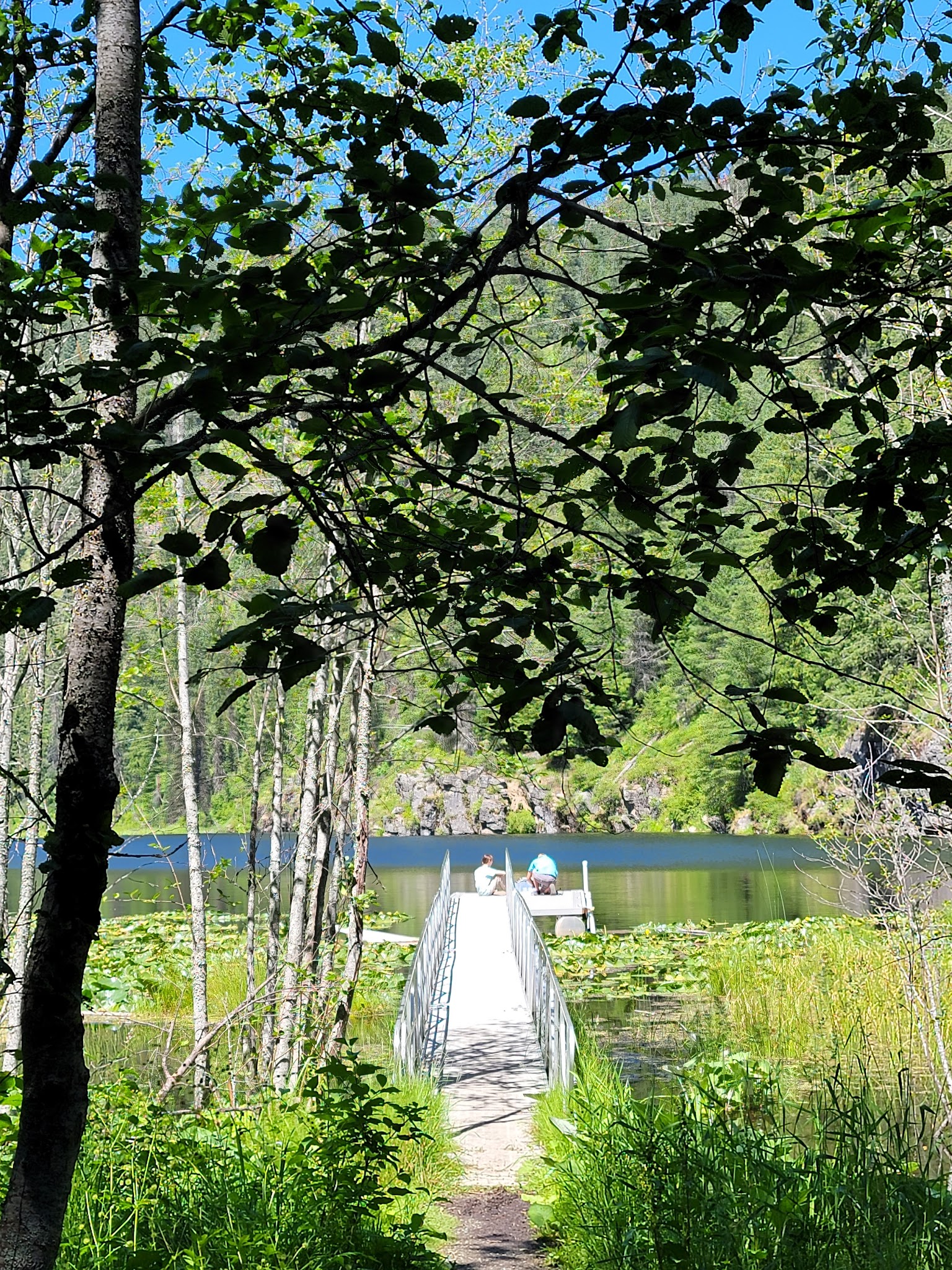 Trout Lake Campground