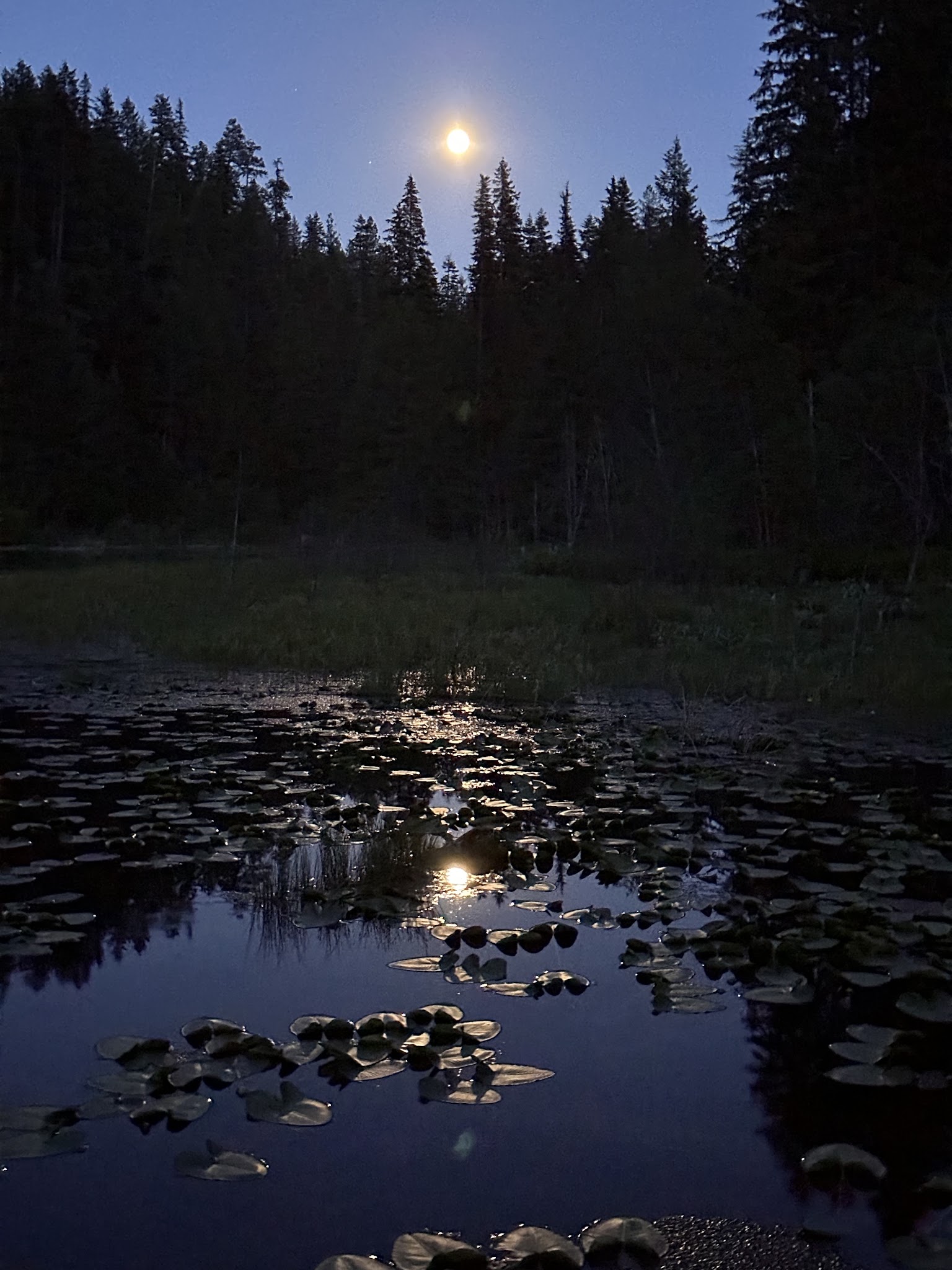 Trout Lake Campground