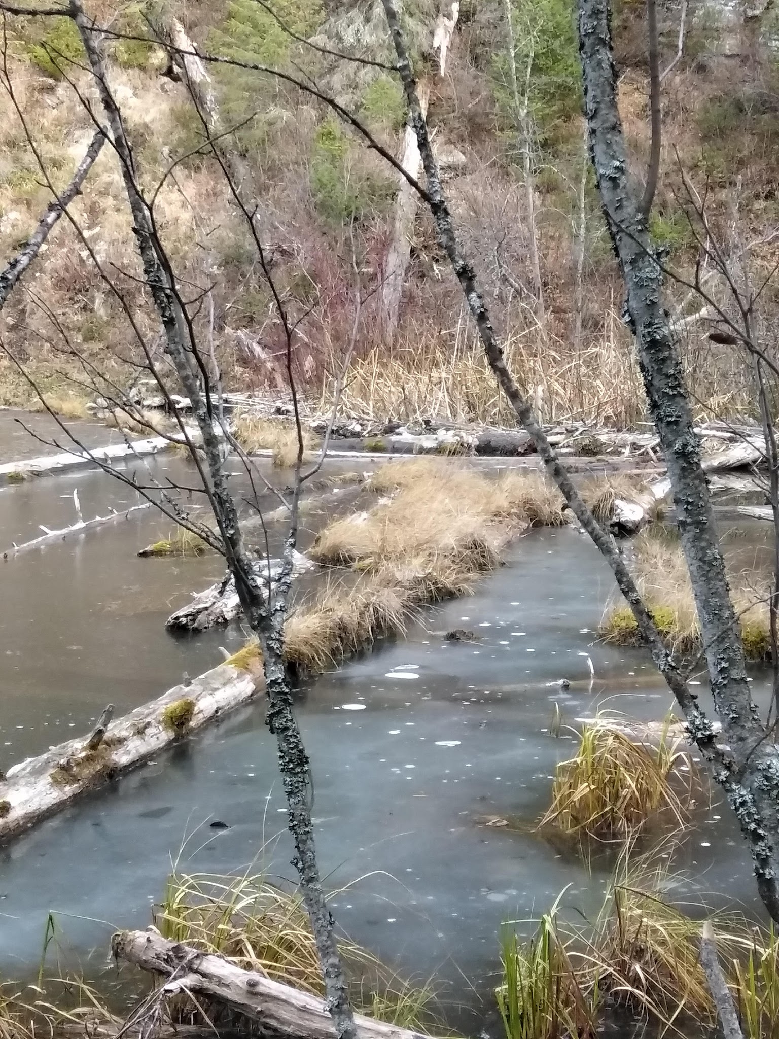 Trout Lake Campground