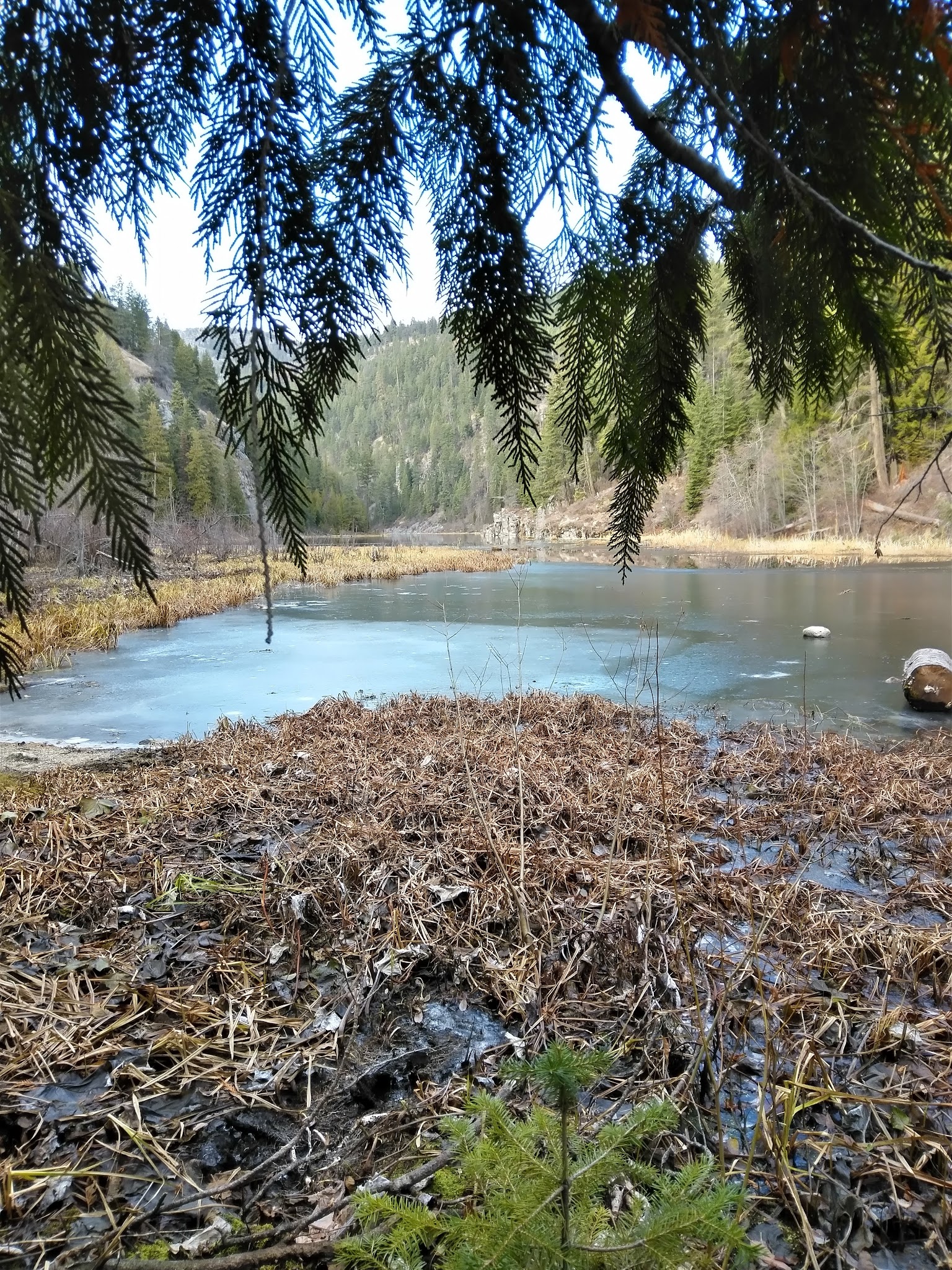 Trout Lake Campground