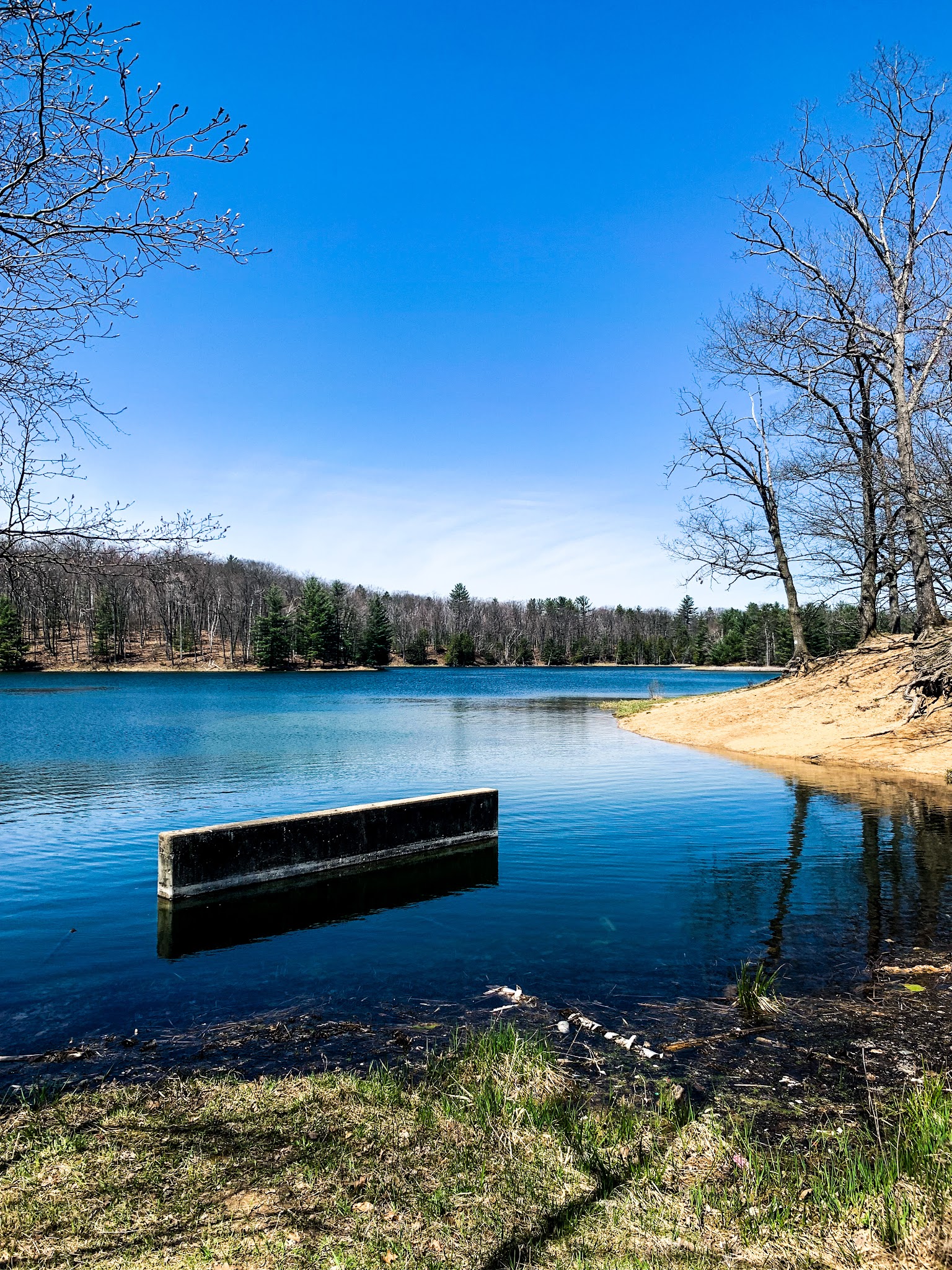 Trout Lake State Forest Campground