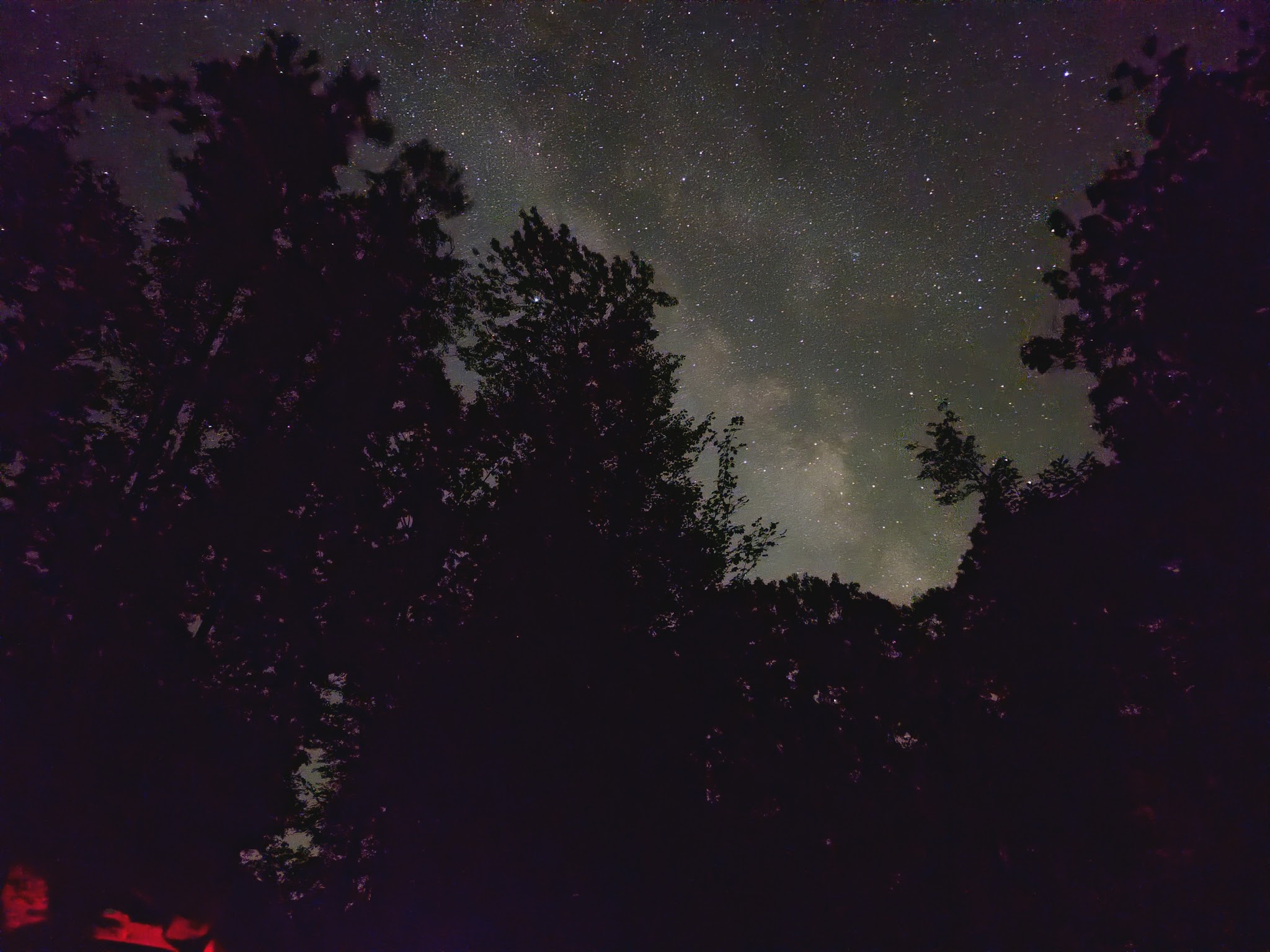 Trout Lake State Forest Campground