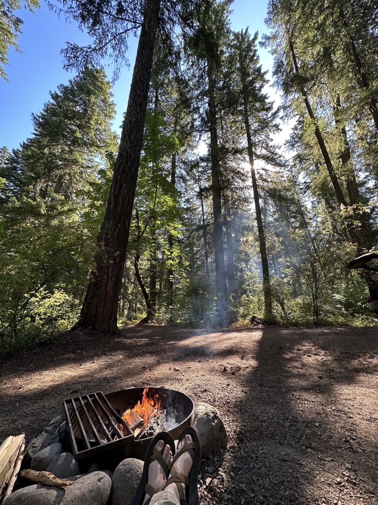 Campground: Trout Lake Creek
