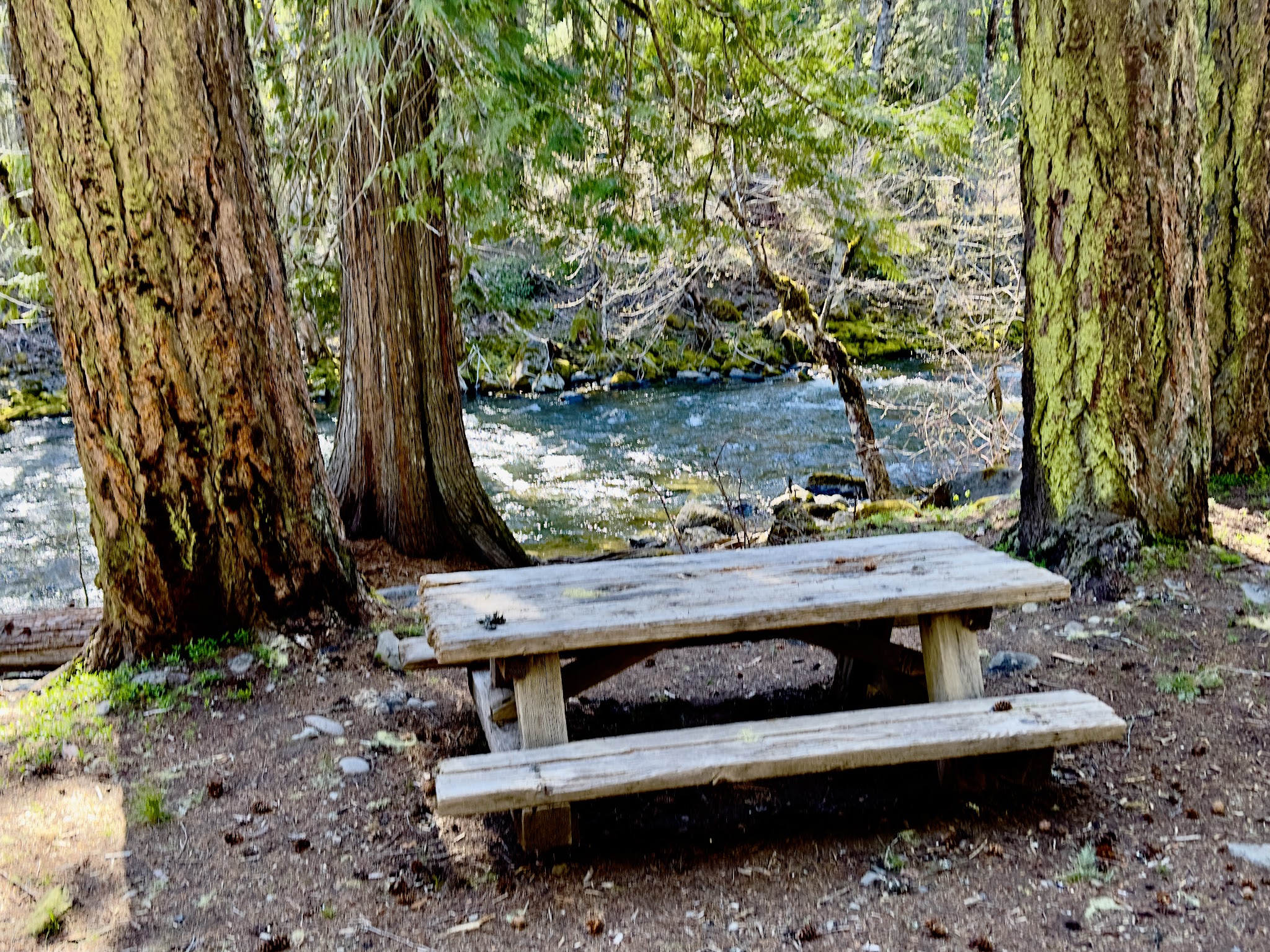 Campground: Trout Lake Creek