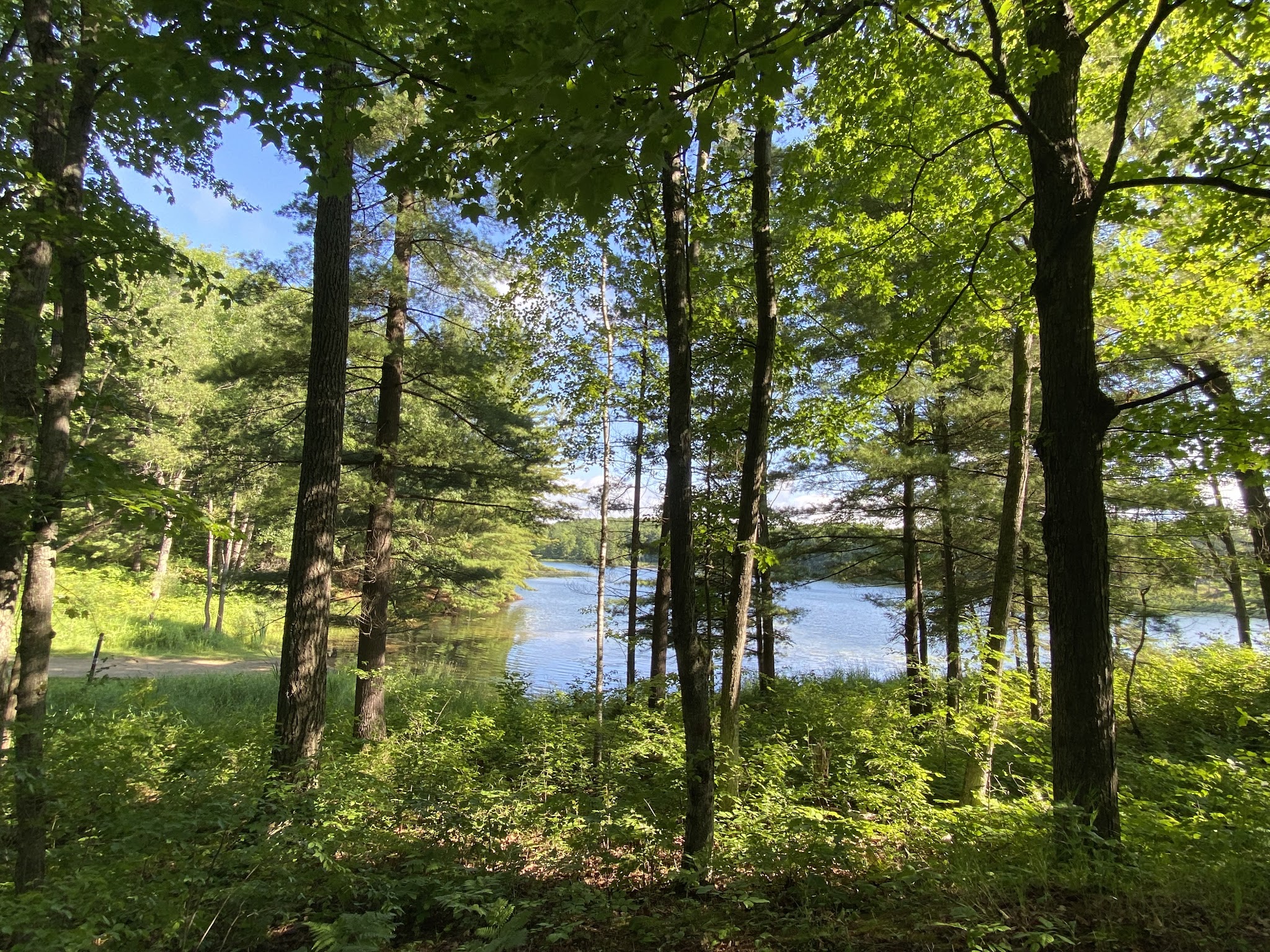 Trout Lake State Forest Campground