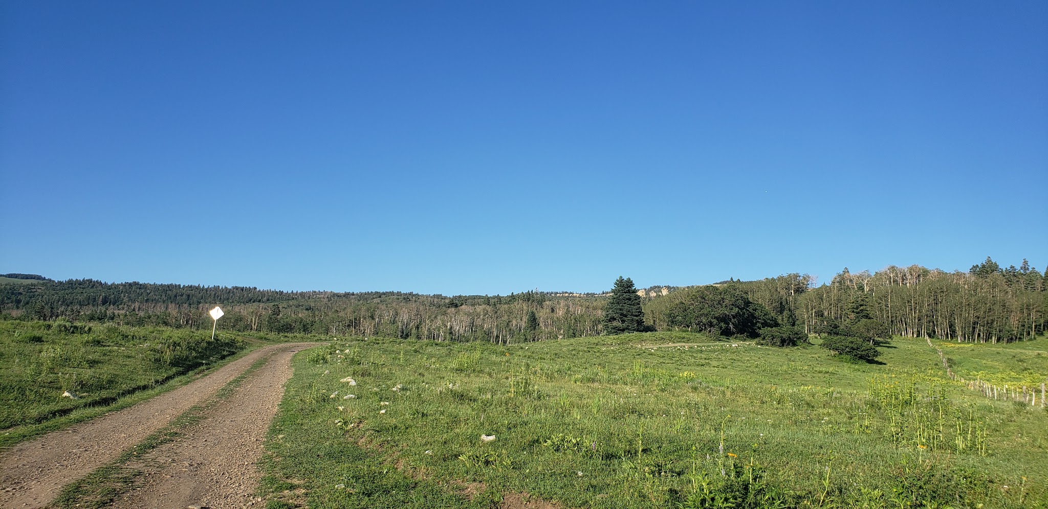 Trout Lakes Campground