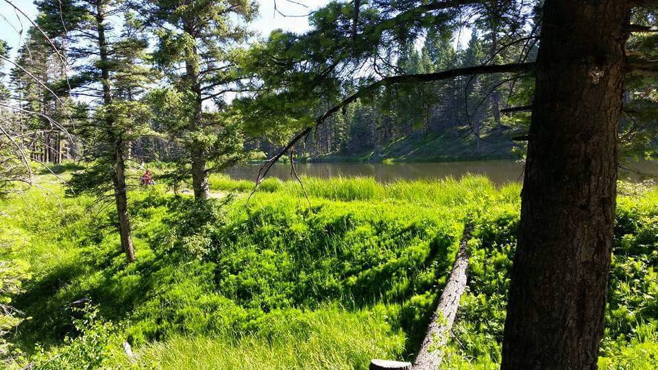 Trout Lakes Campground