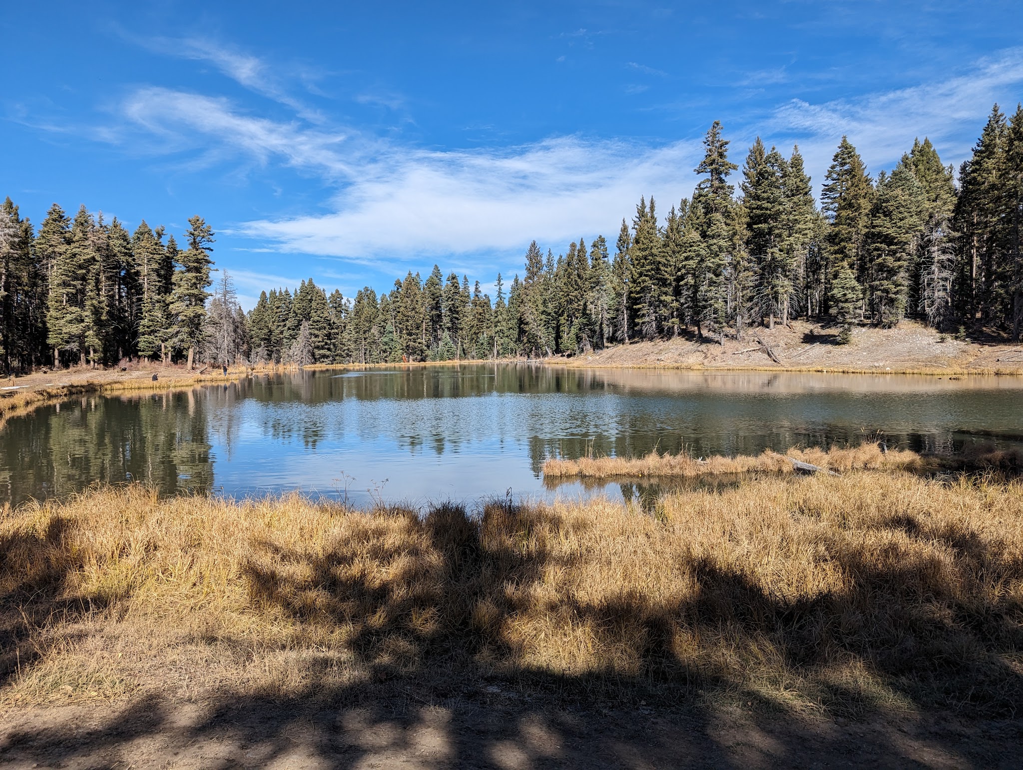 Trout Lakes Campground