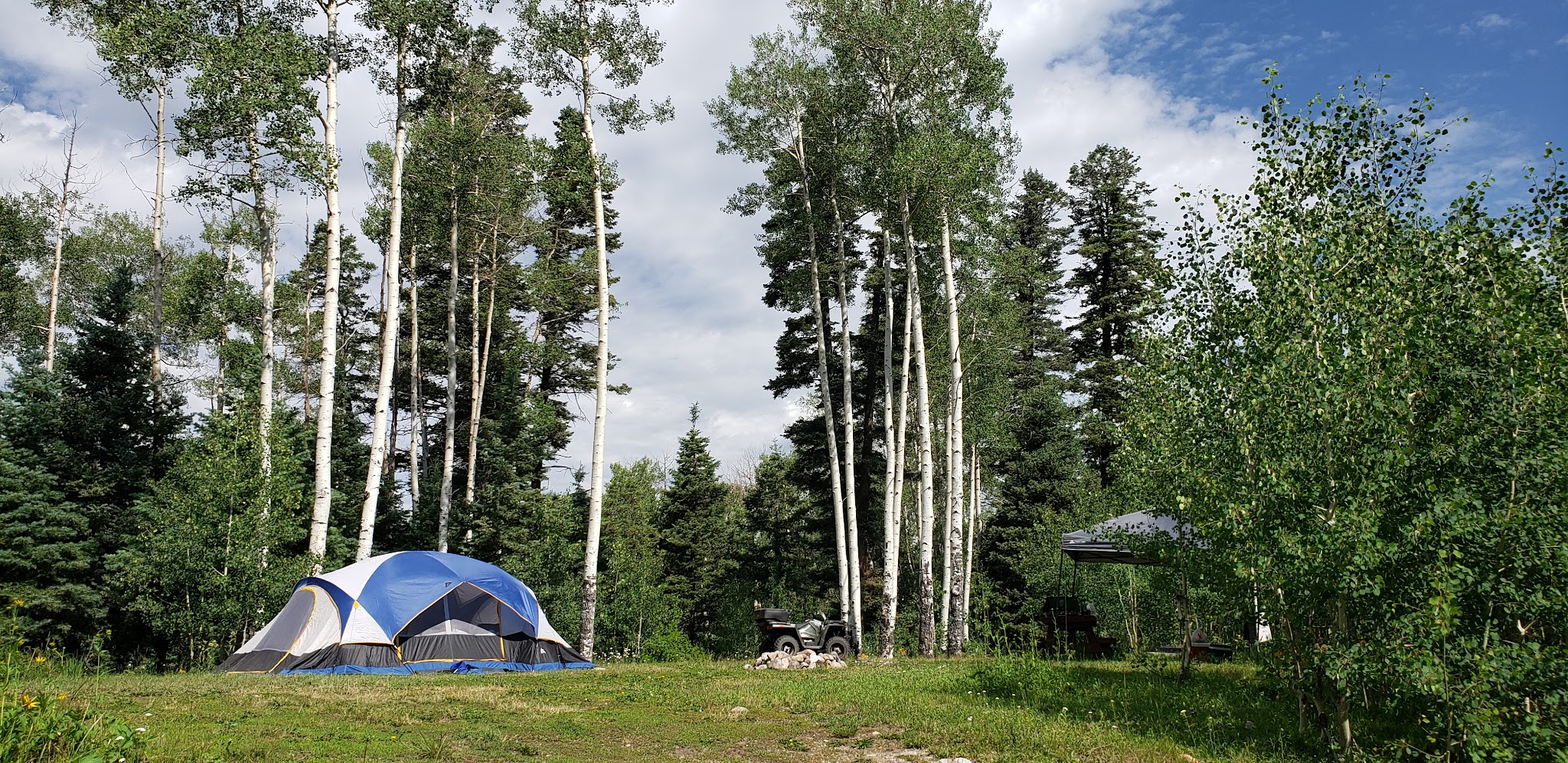 Trout Lakes Campground
