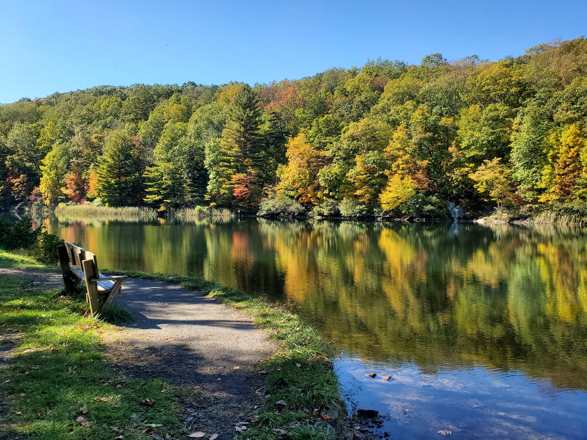 Trout Pond Recreation Area