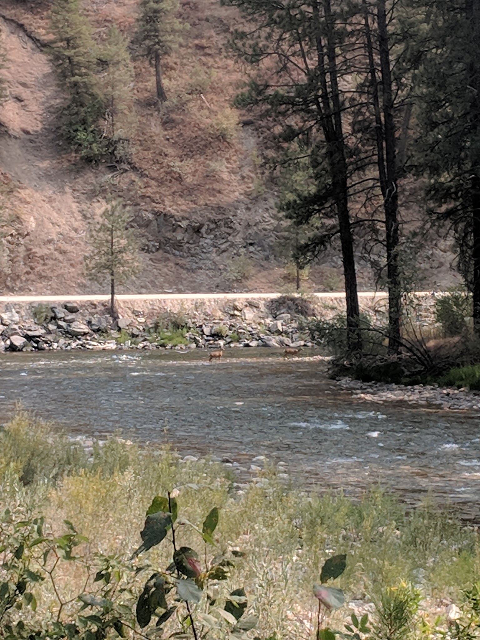 Troutdale Campground