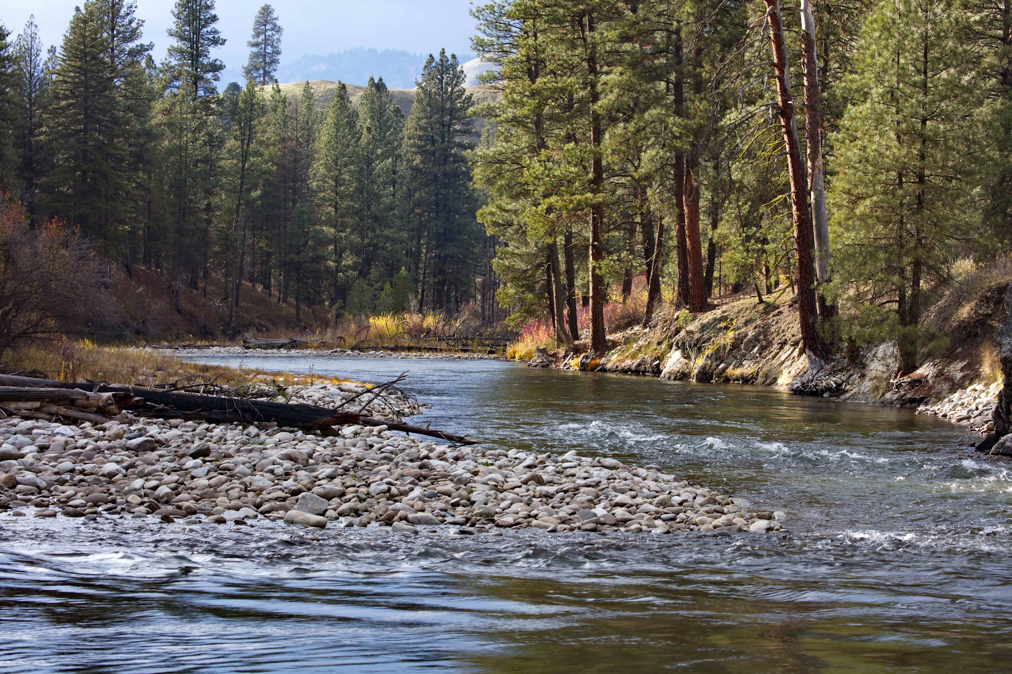 Troutdale Campground
