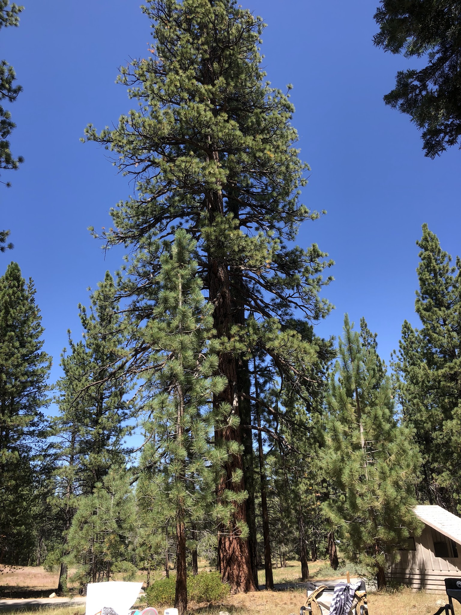 Troy Meadow Campground