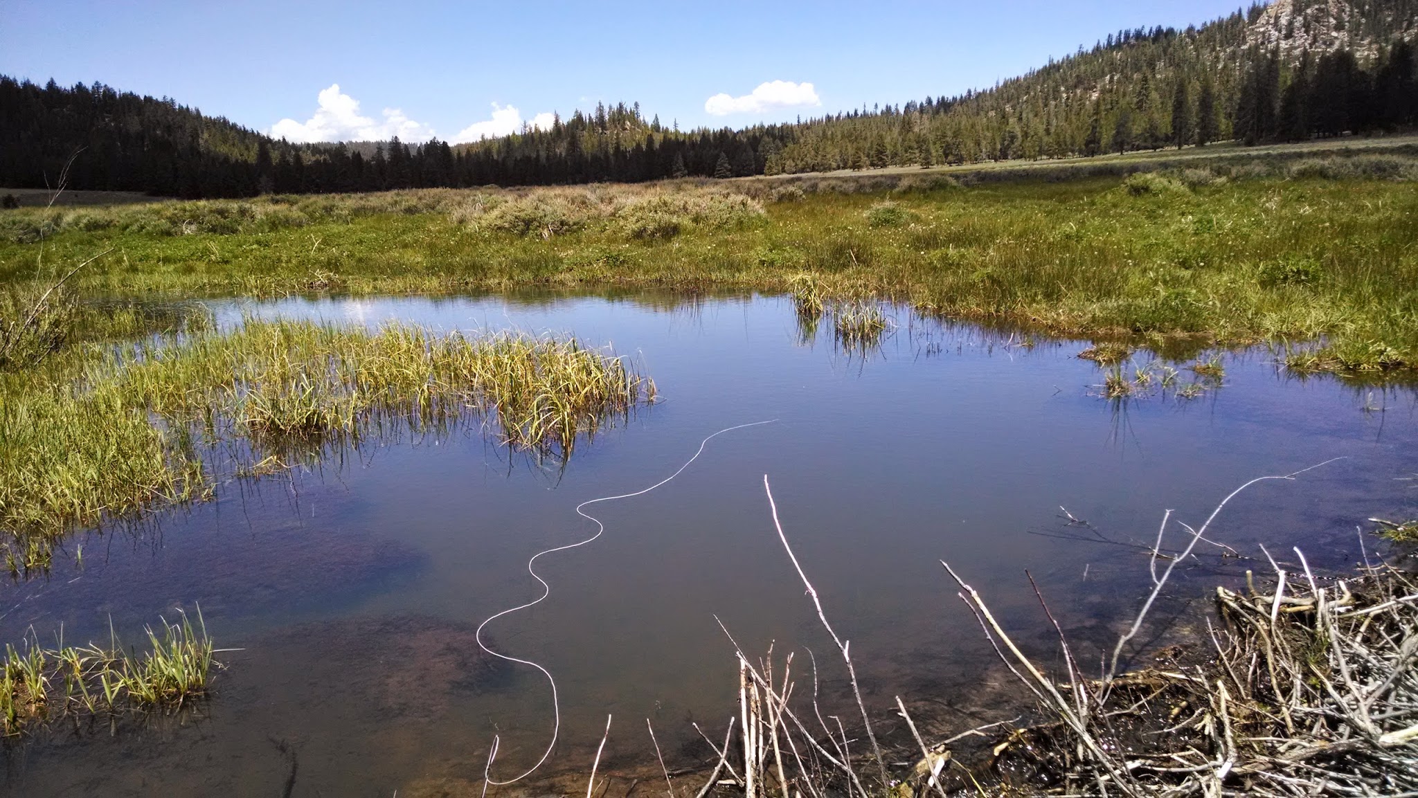 Troy Meadow Campground