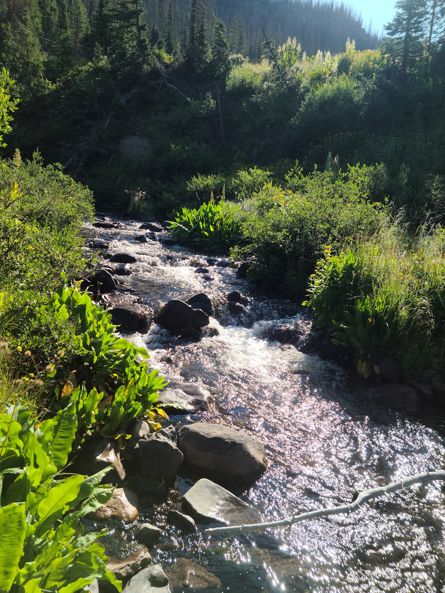 Trujillo Meadows Campground