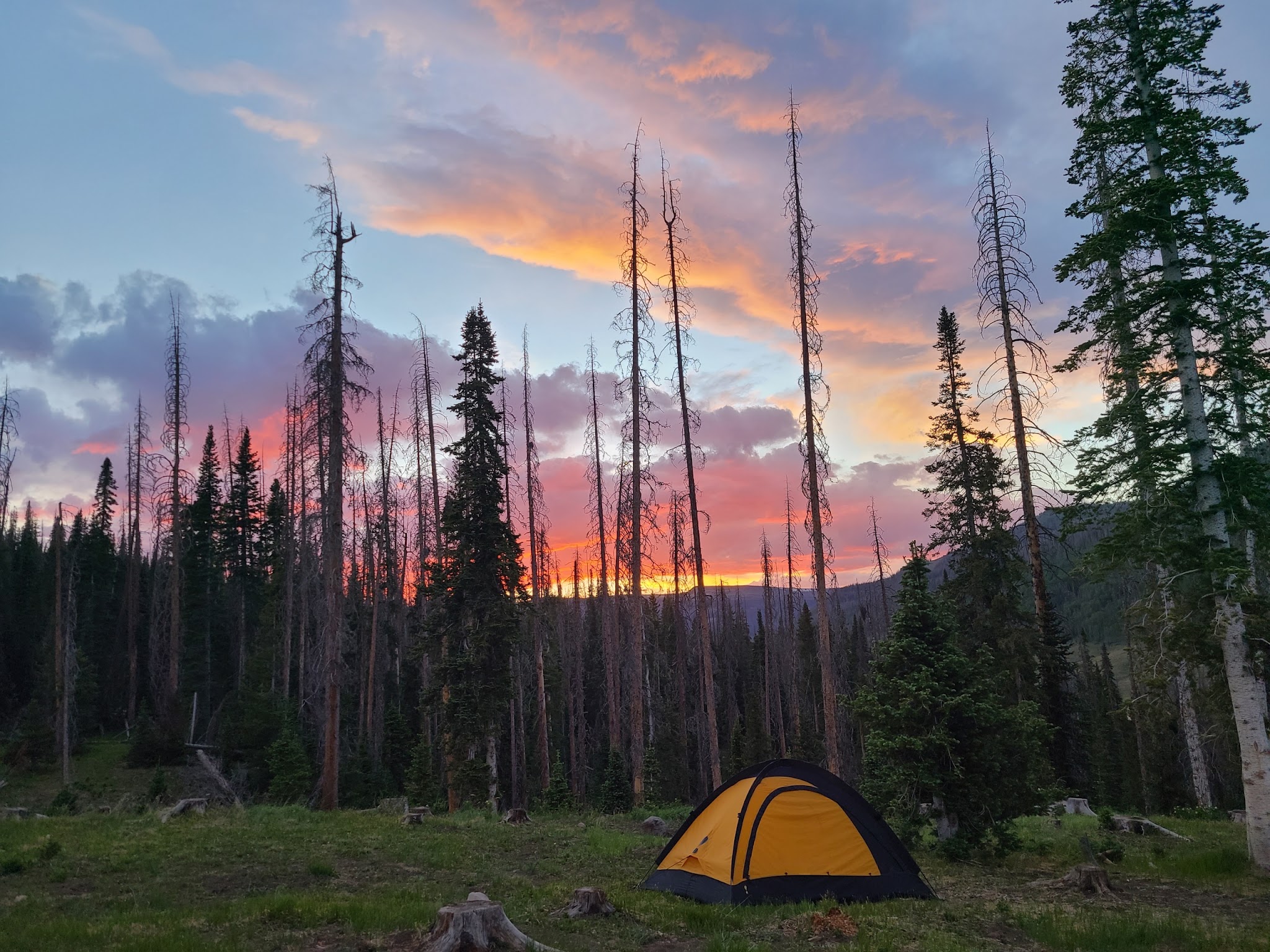 Trujillo Meadows Campground