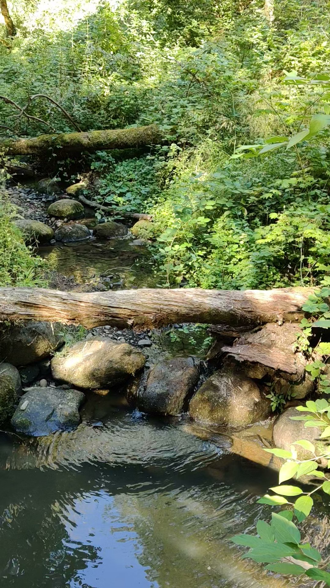 Pecan Creek Natural Sup Campground