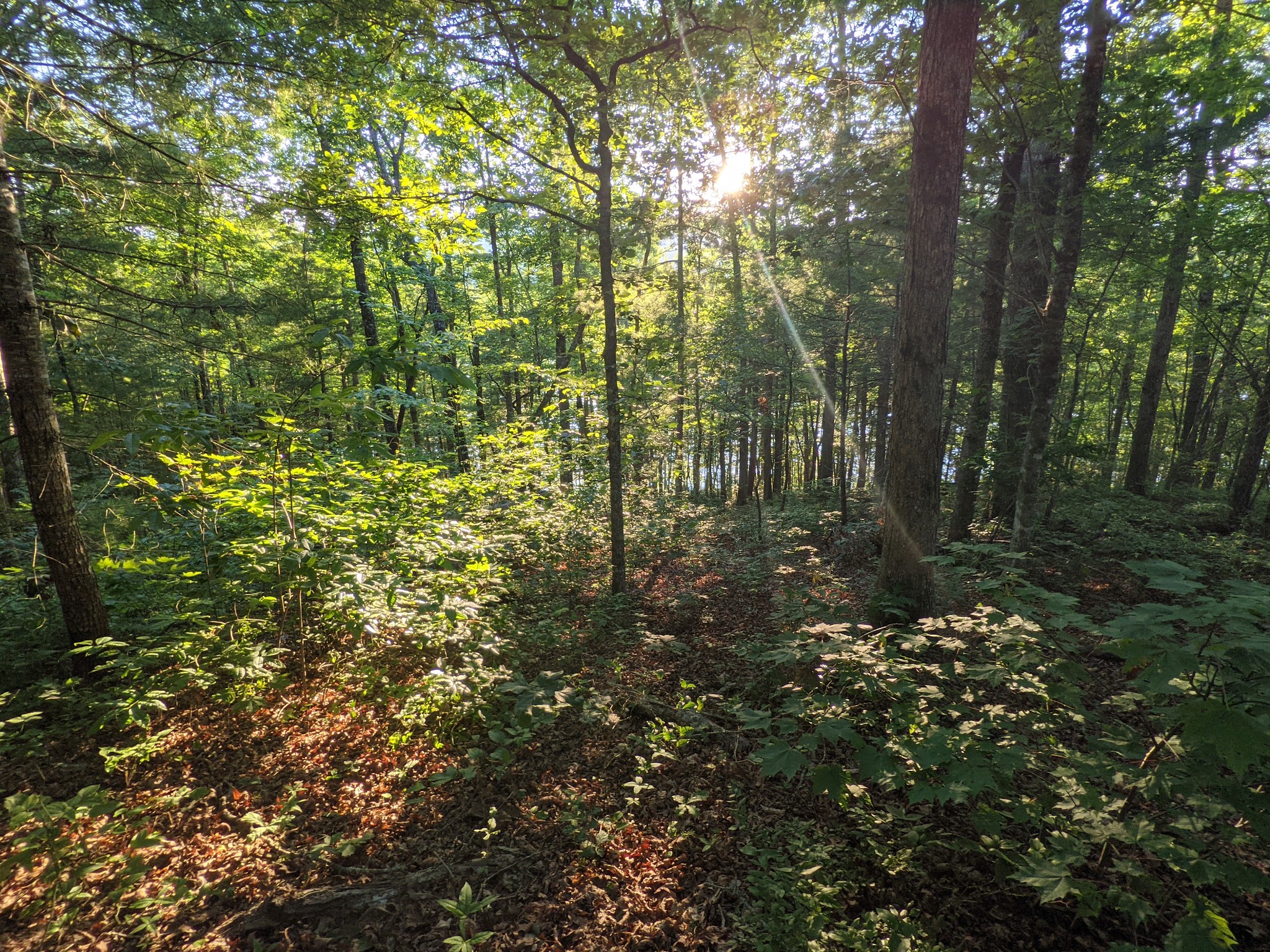 Tsali Recreation Area