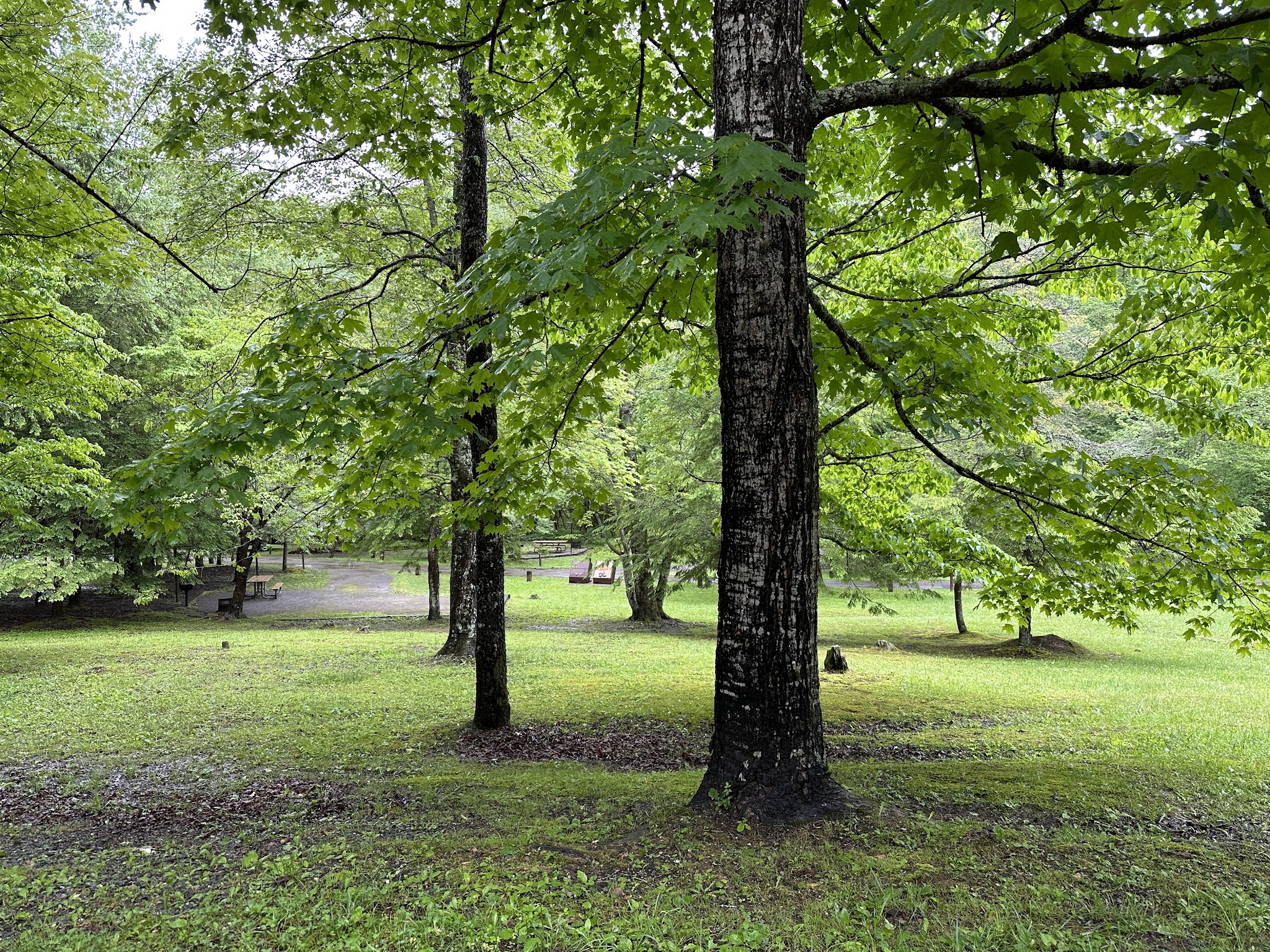 Tsali Recreation Area