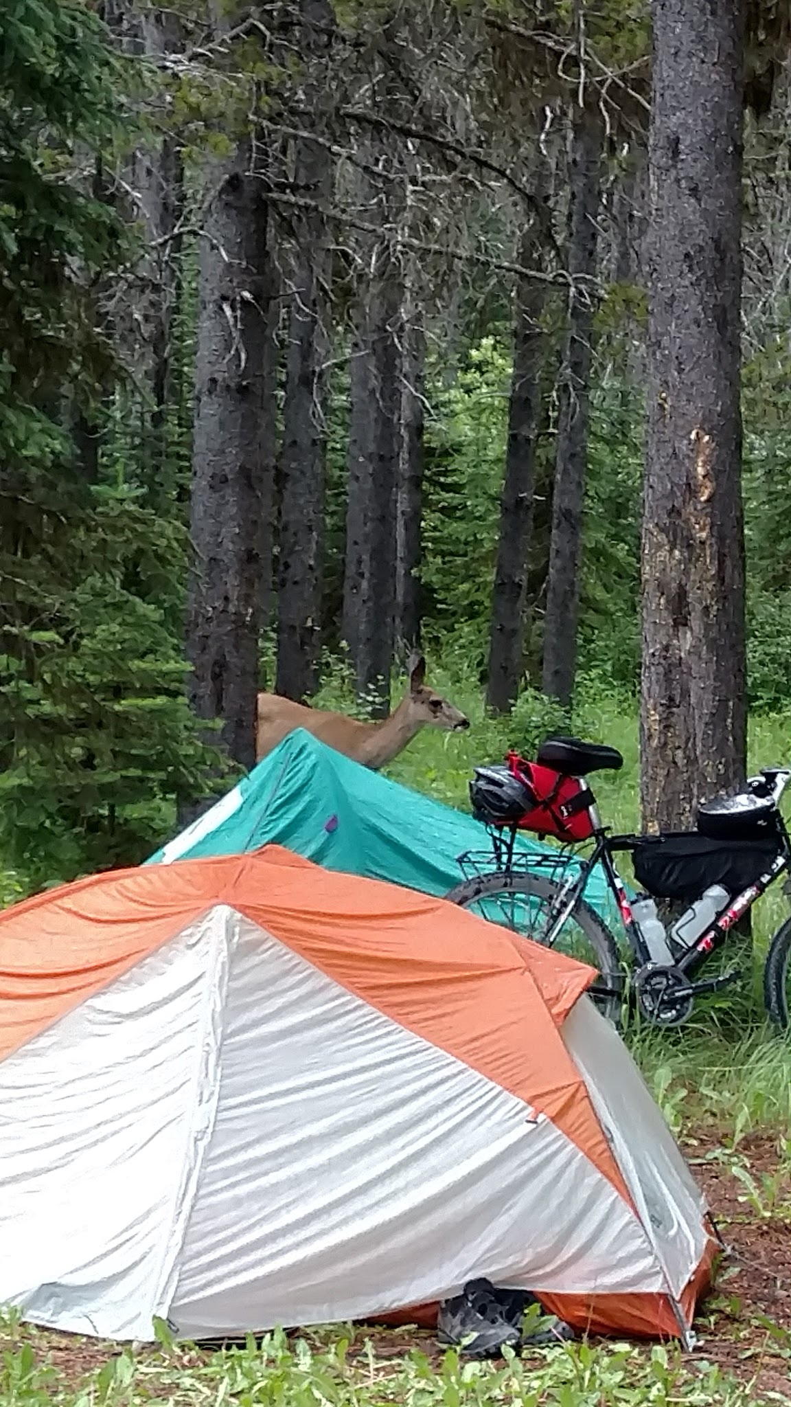 Tuchuck Campground
