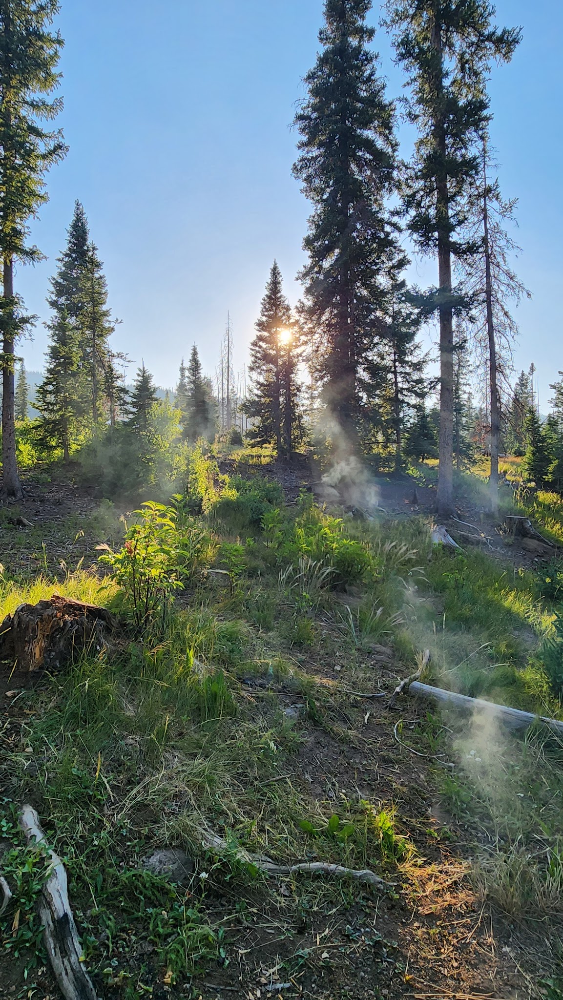 Tucker Ponds Campground