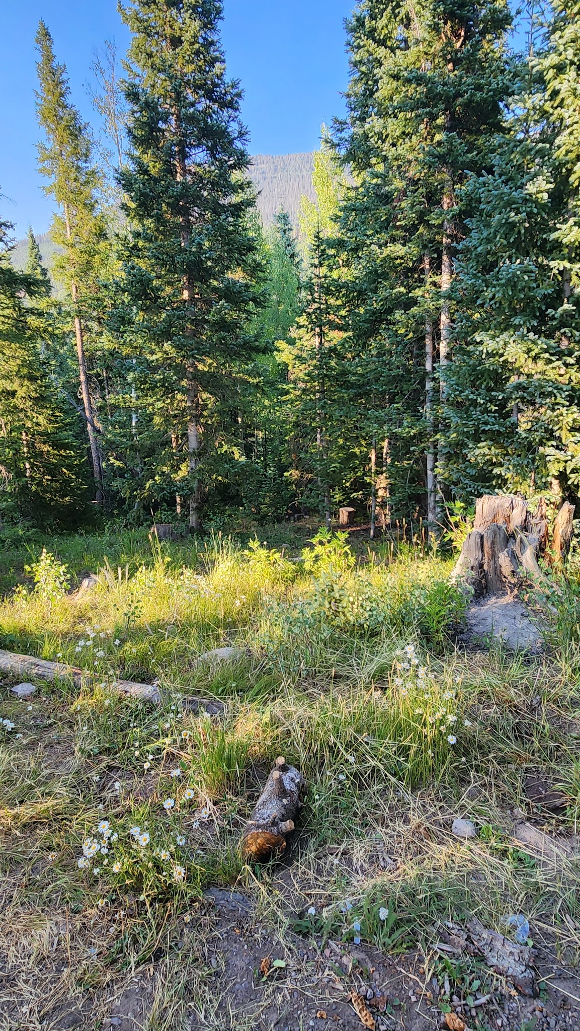 Tucker Ponds Campground