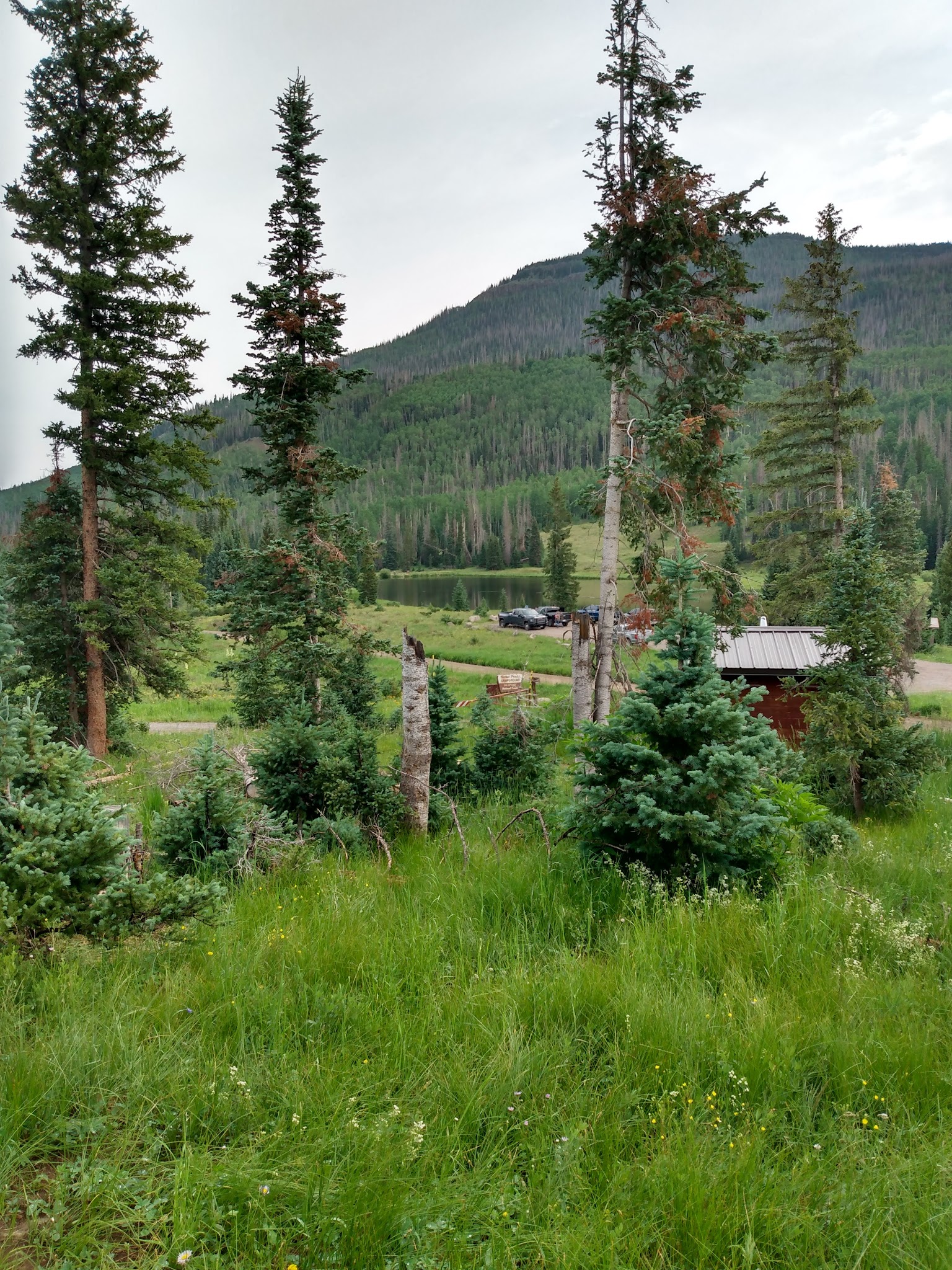 Tucker Ponds Campground