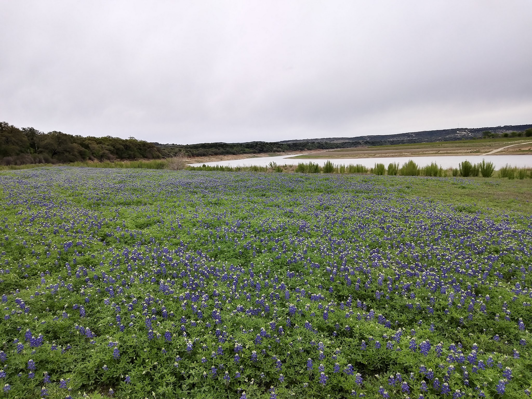 Turkey Bend Recreation Area