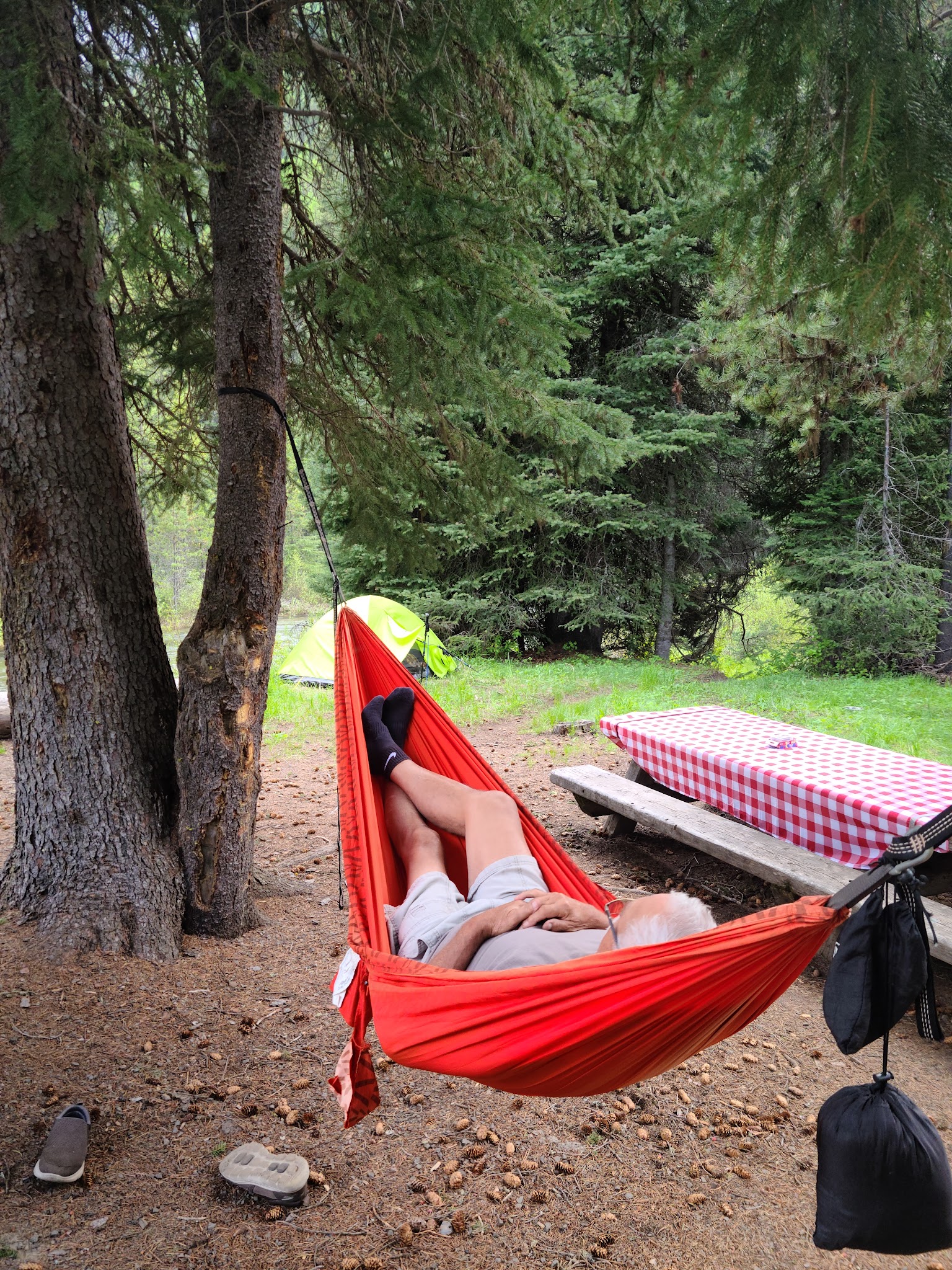 Turkey Flat Forest Camp