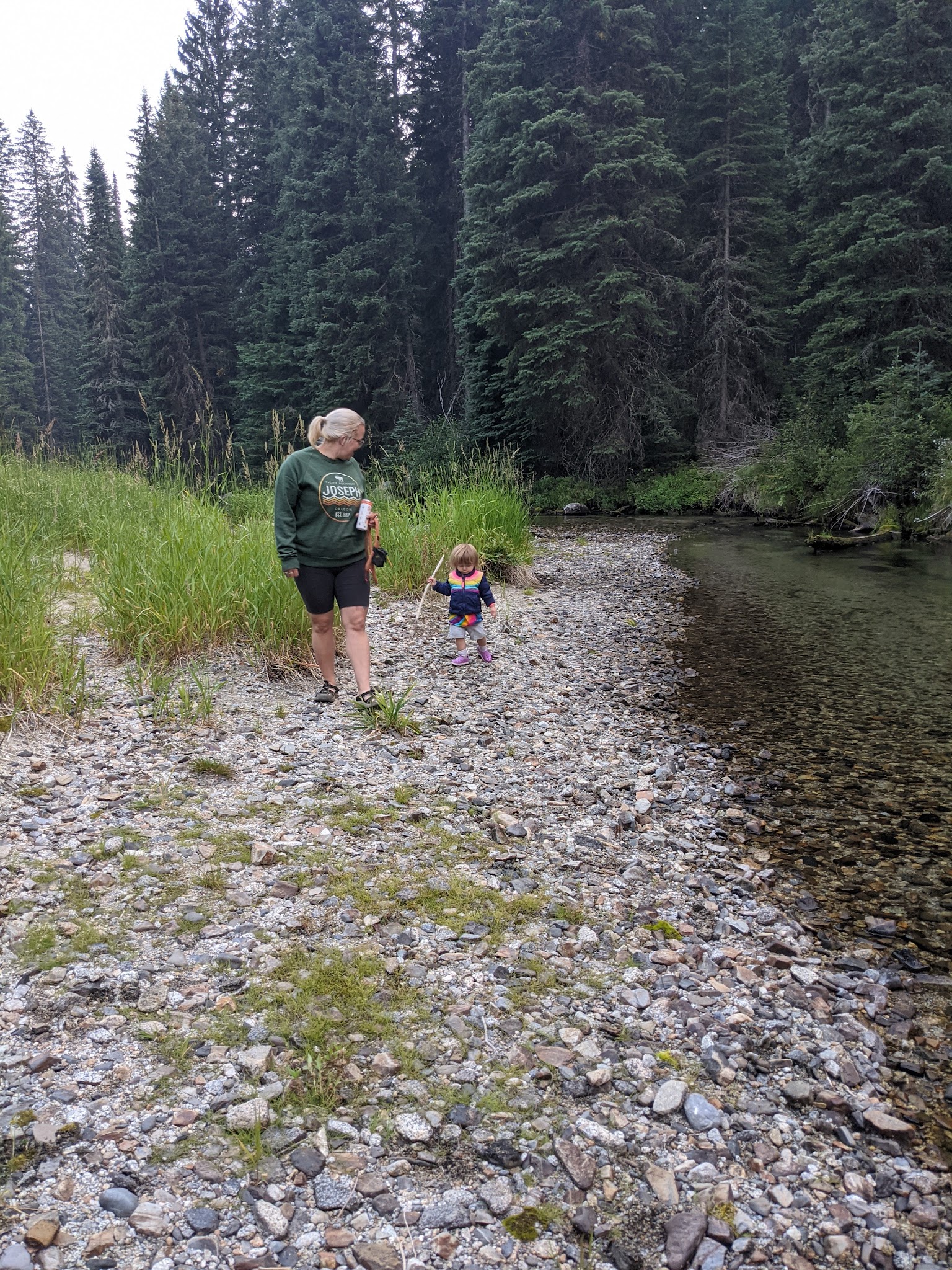Turkey Flat Forest Camp