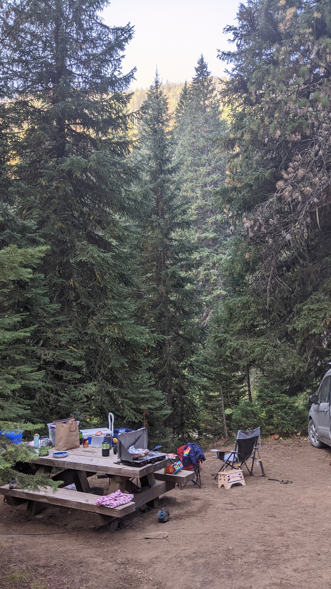 Turkey Flat Forest Camp