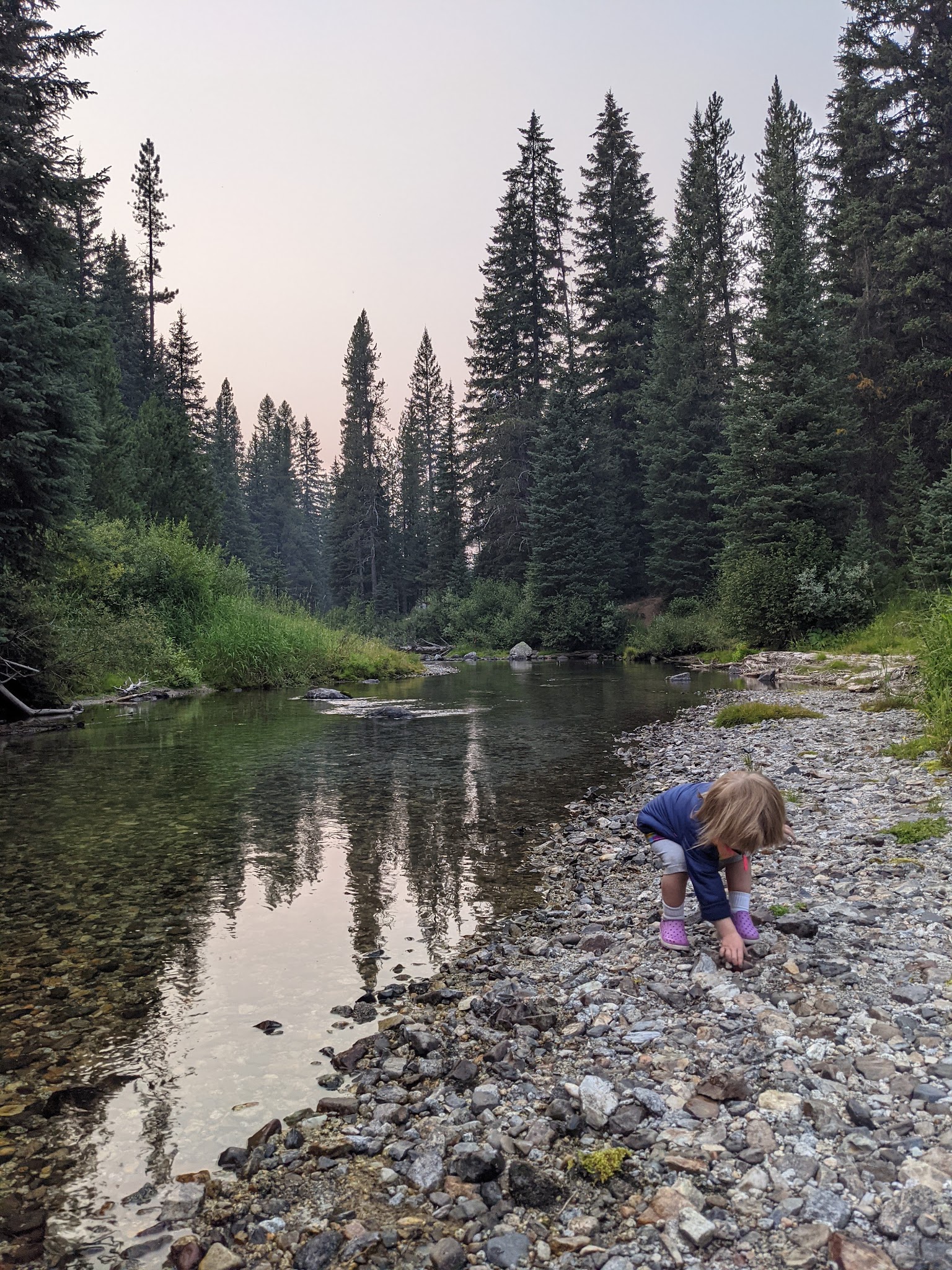 Turkey Flat Forest Camp
