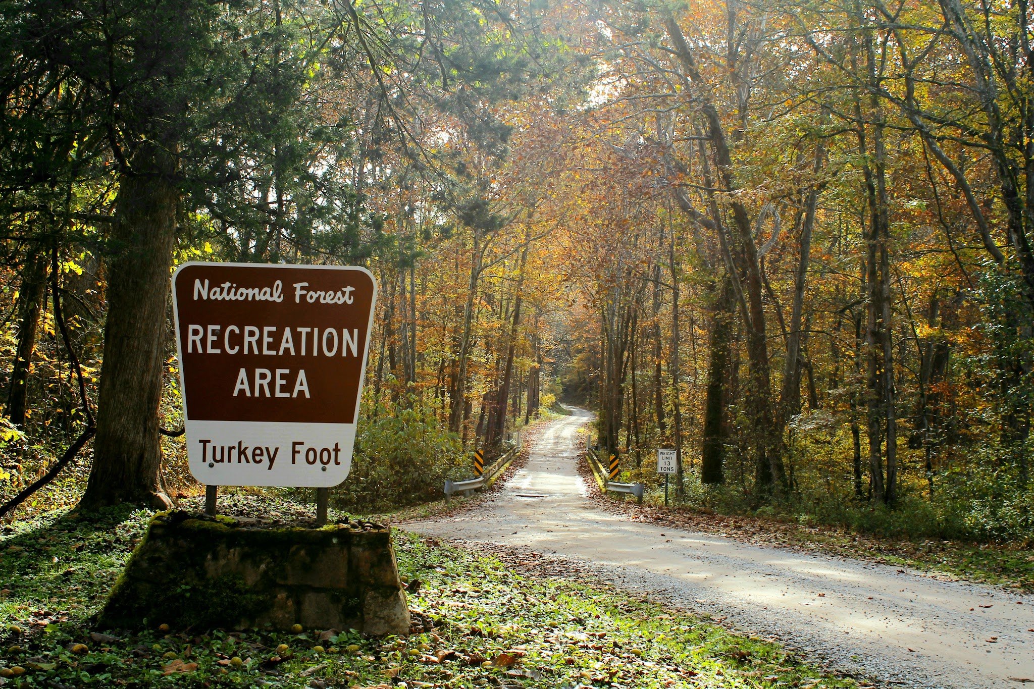Turkey Foot Campground