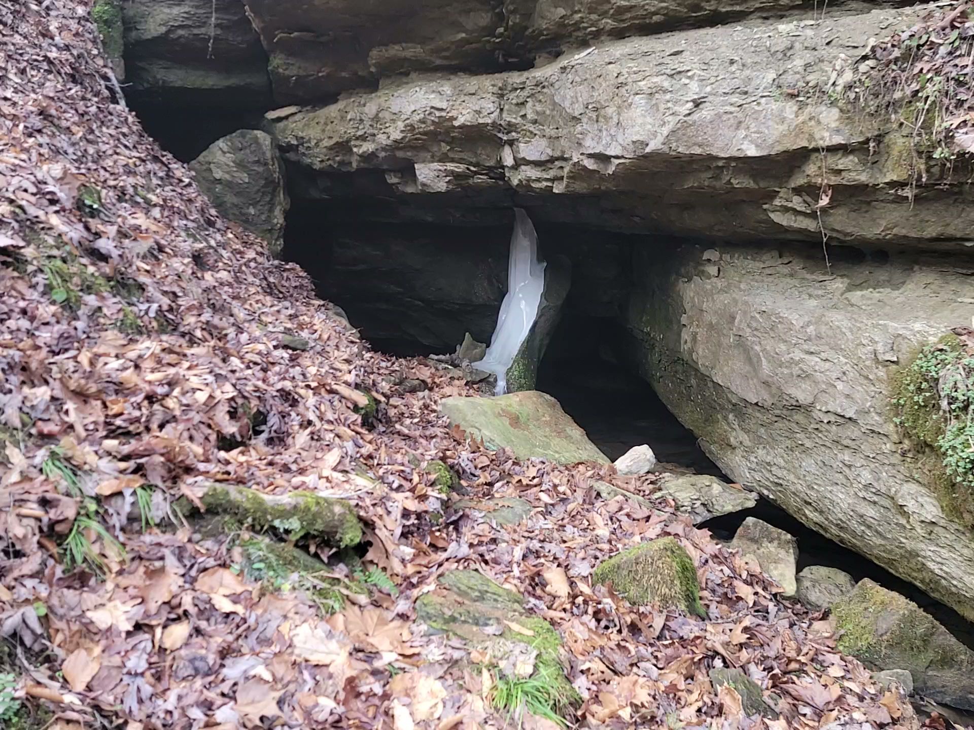 Turkey Foot Campground