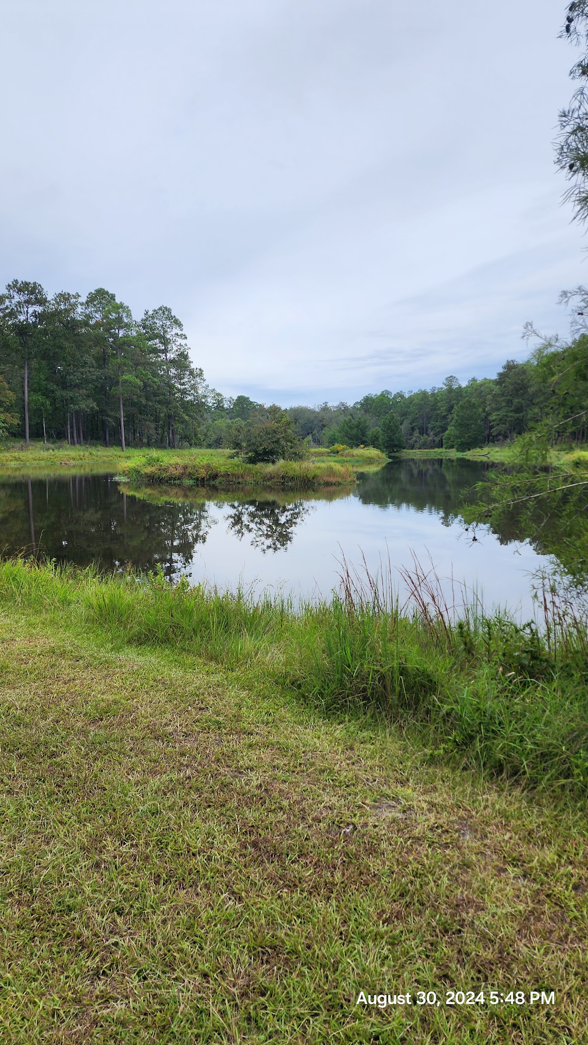Turkey Fork Recreation Area