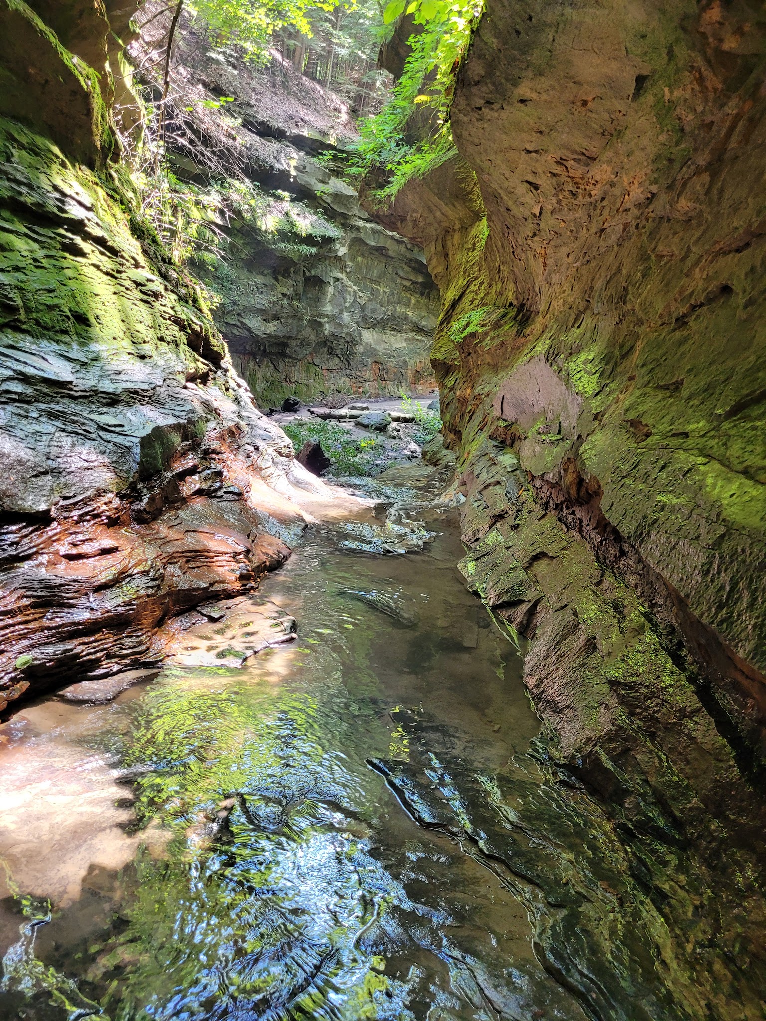 Turkey Run State Park