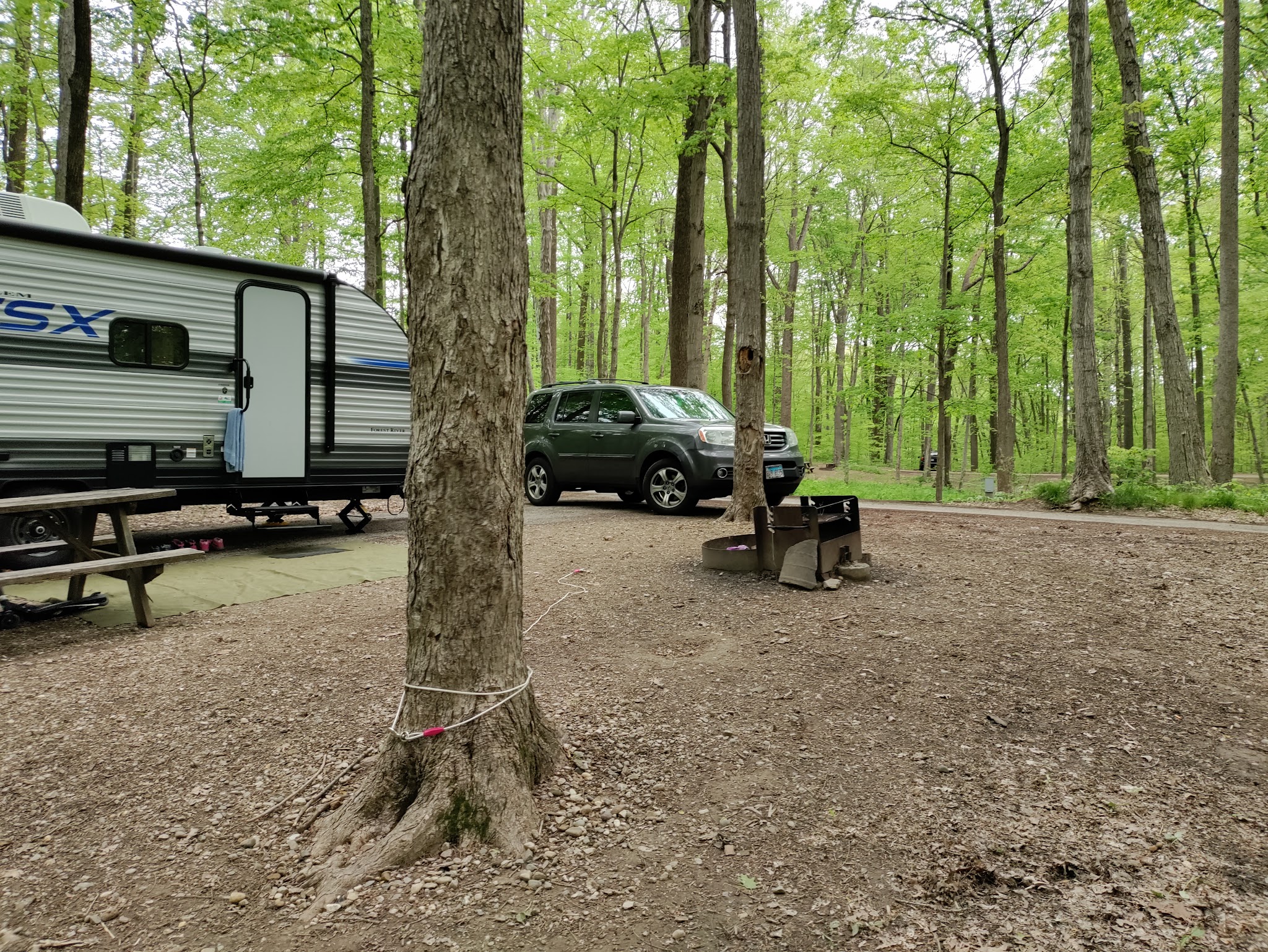 Turkey Run State Park
