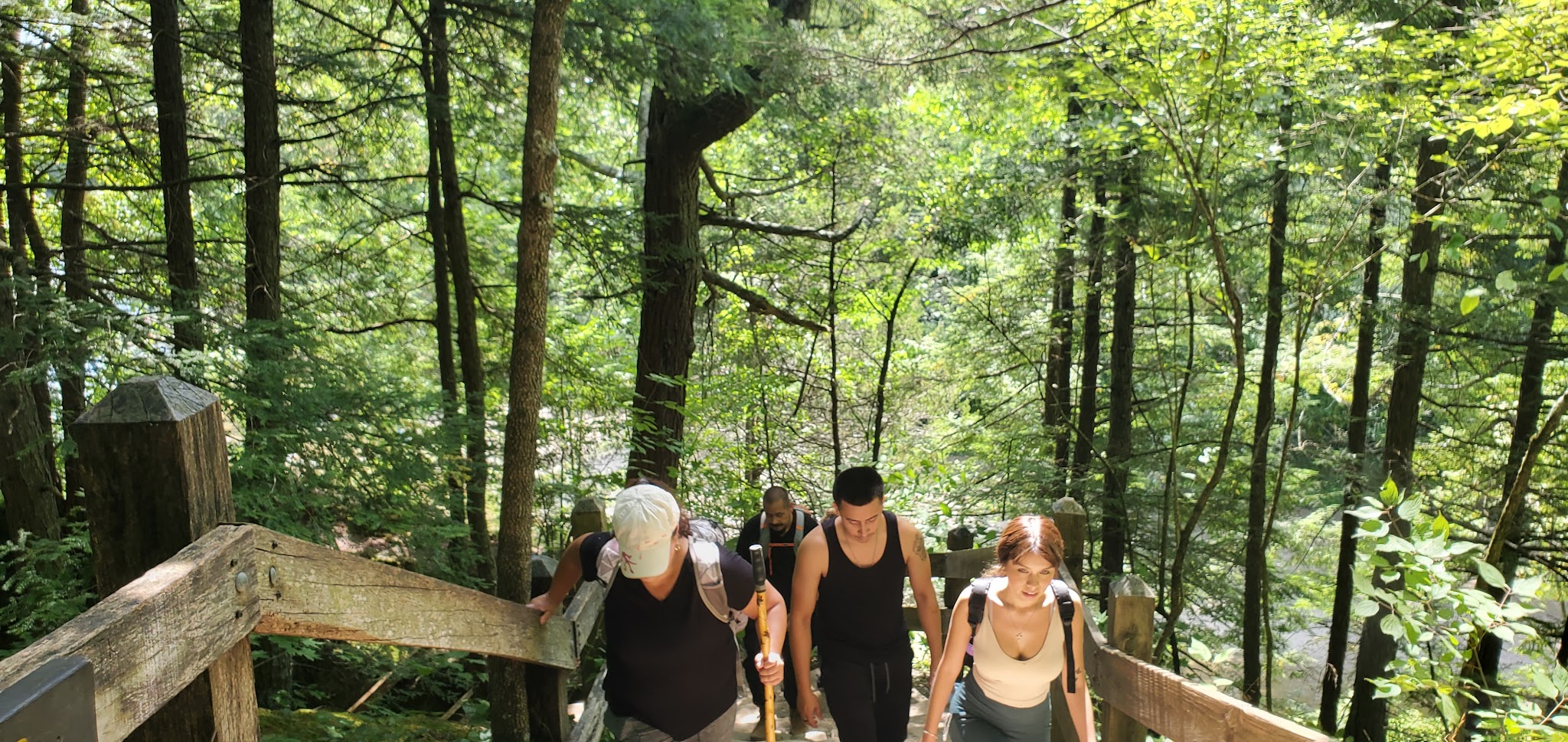 Turkey Run State Park