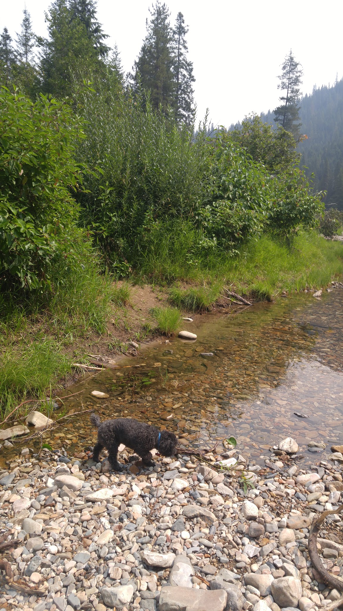 Turner Flat Campground