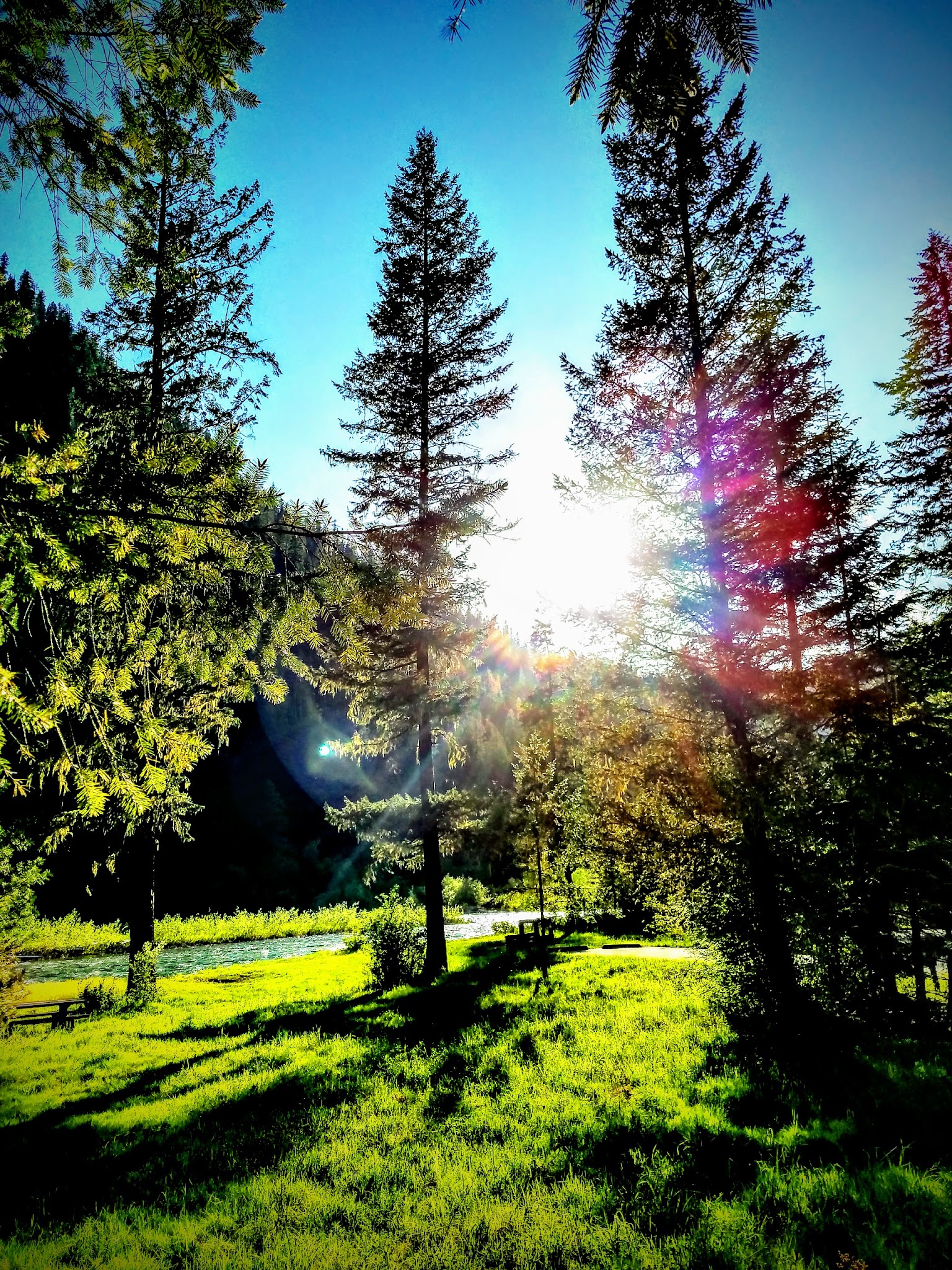 Turner Flat Campground