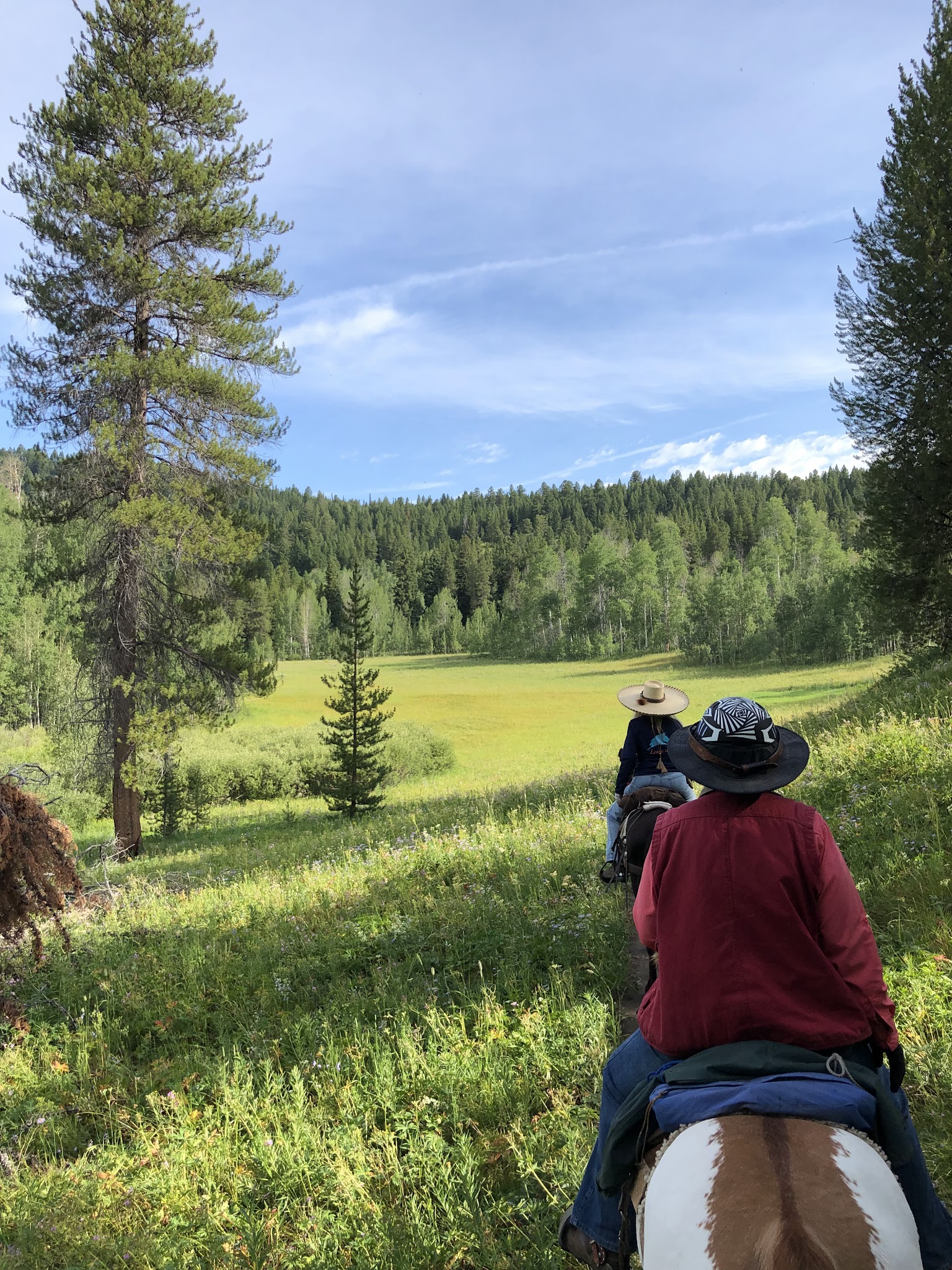 Turpin Meadow Campground