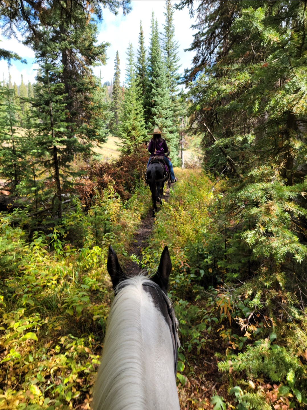 Turpin Meadow Campground