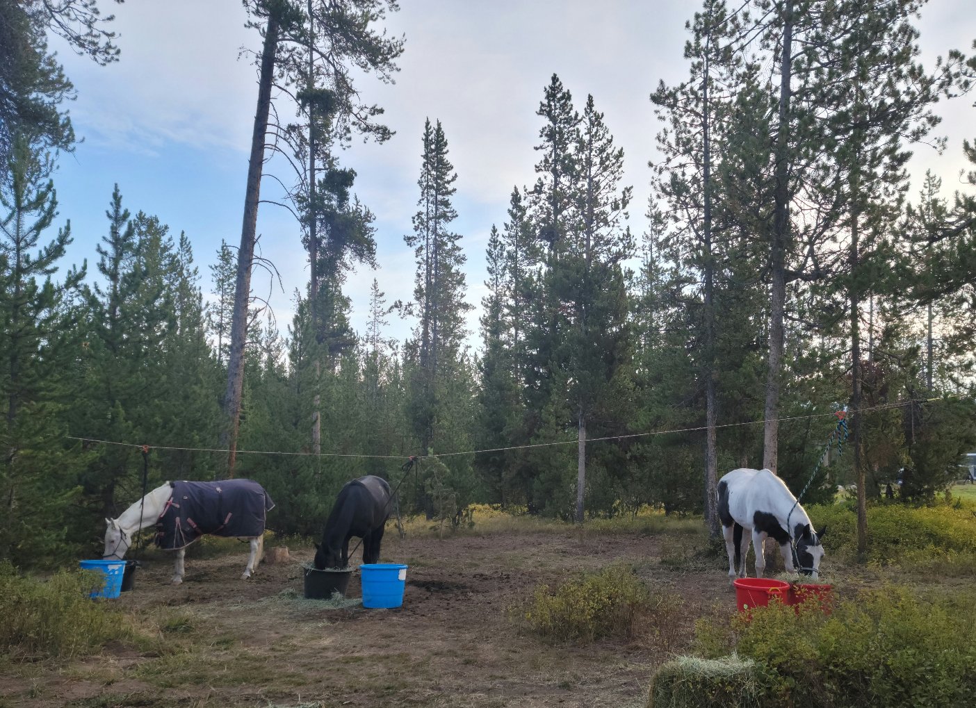 Turpin Meadow Campground