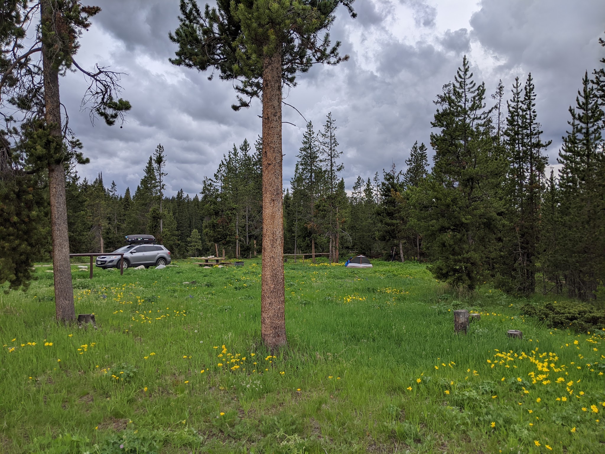 Turpin Meadow Campground