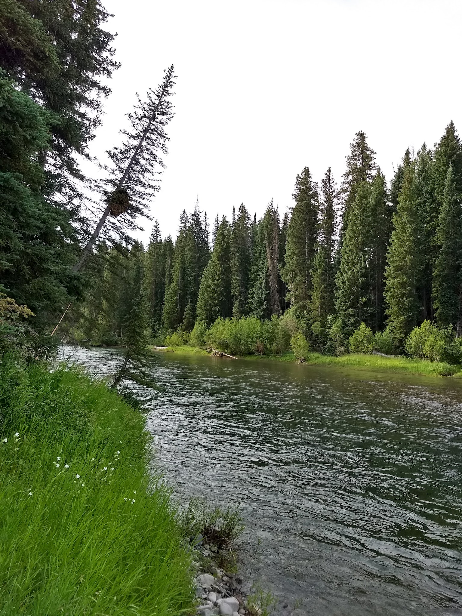 Turpin Meadow Campground