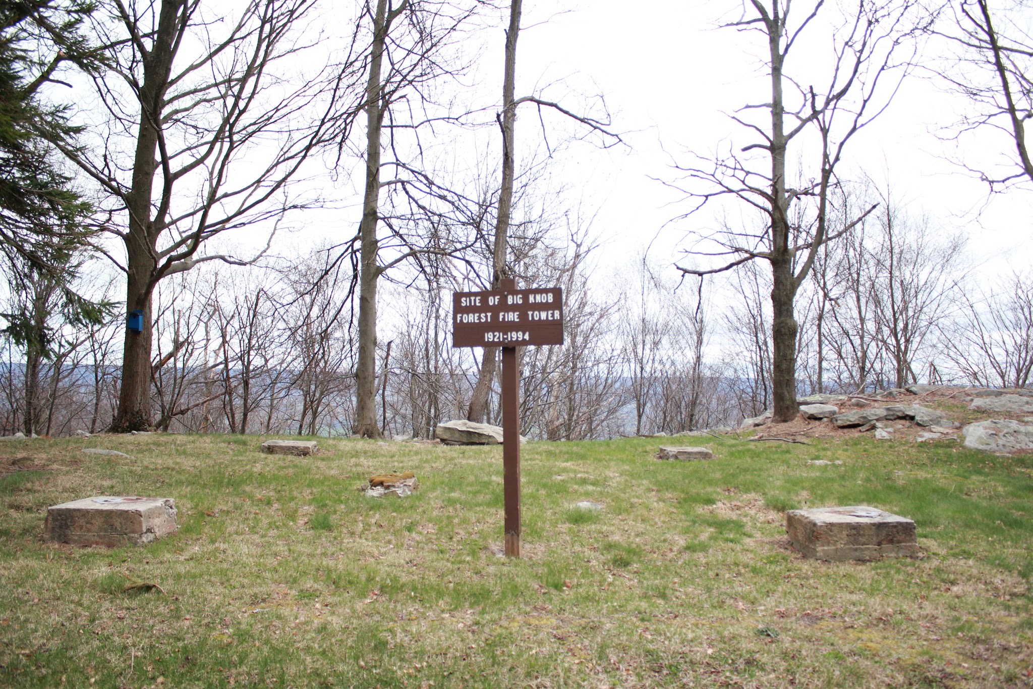 Tuscarora State Forest