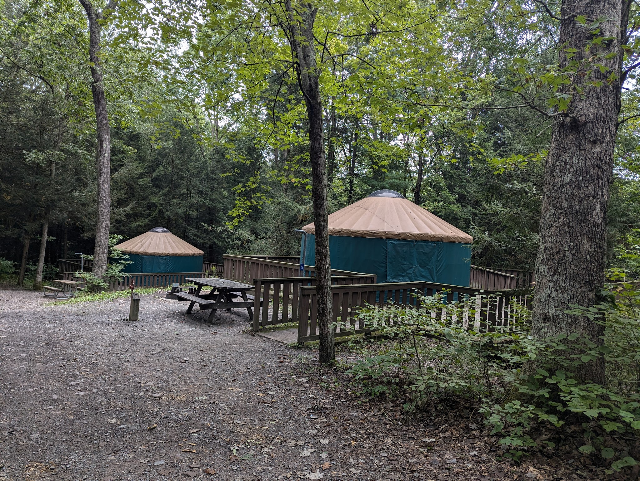 Tuscarora State Park